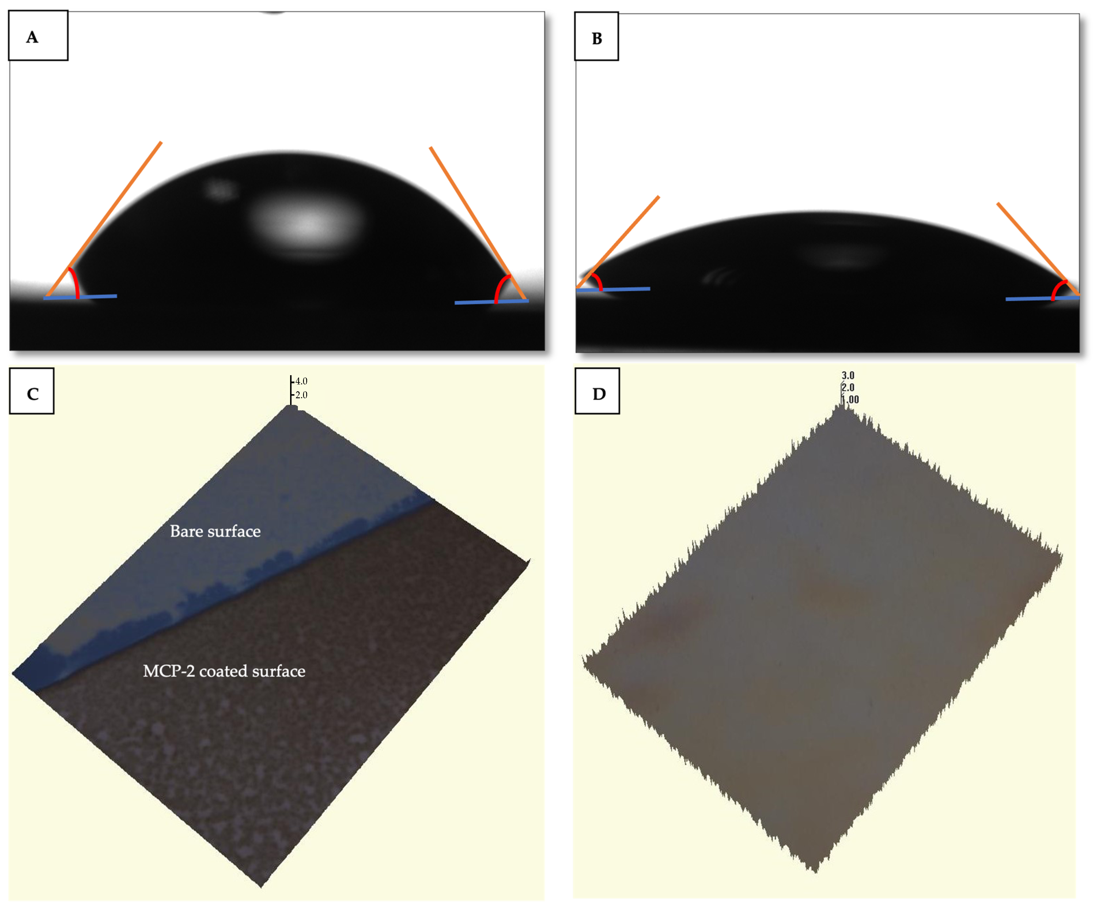 Biosensors 14 00315 g003