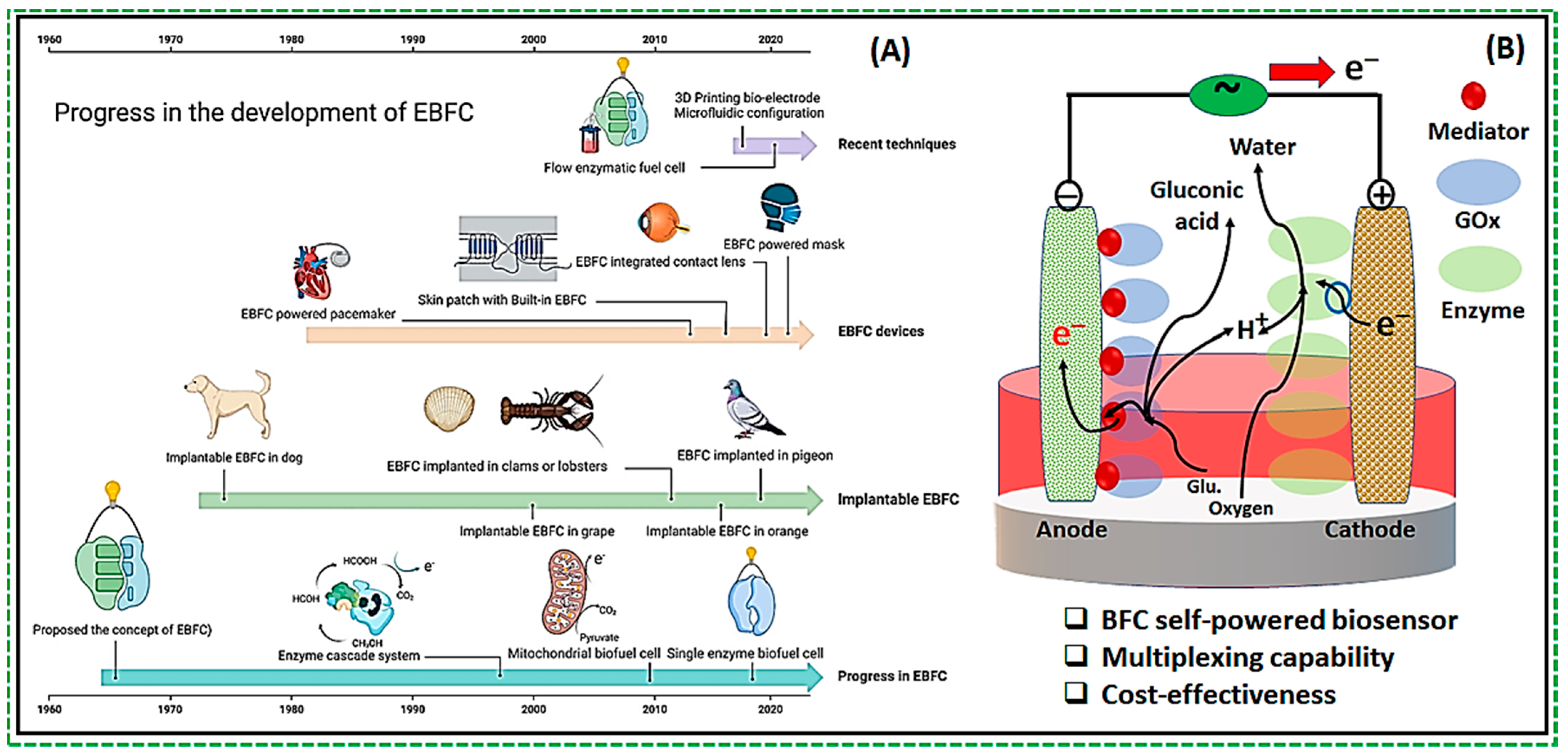 Biosensors 14 00316 g001