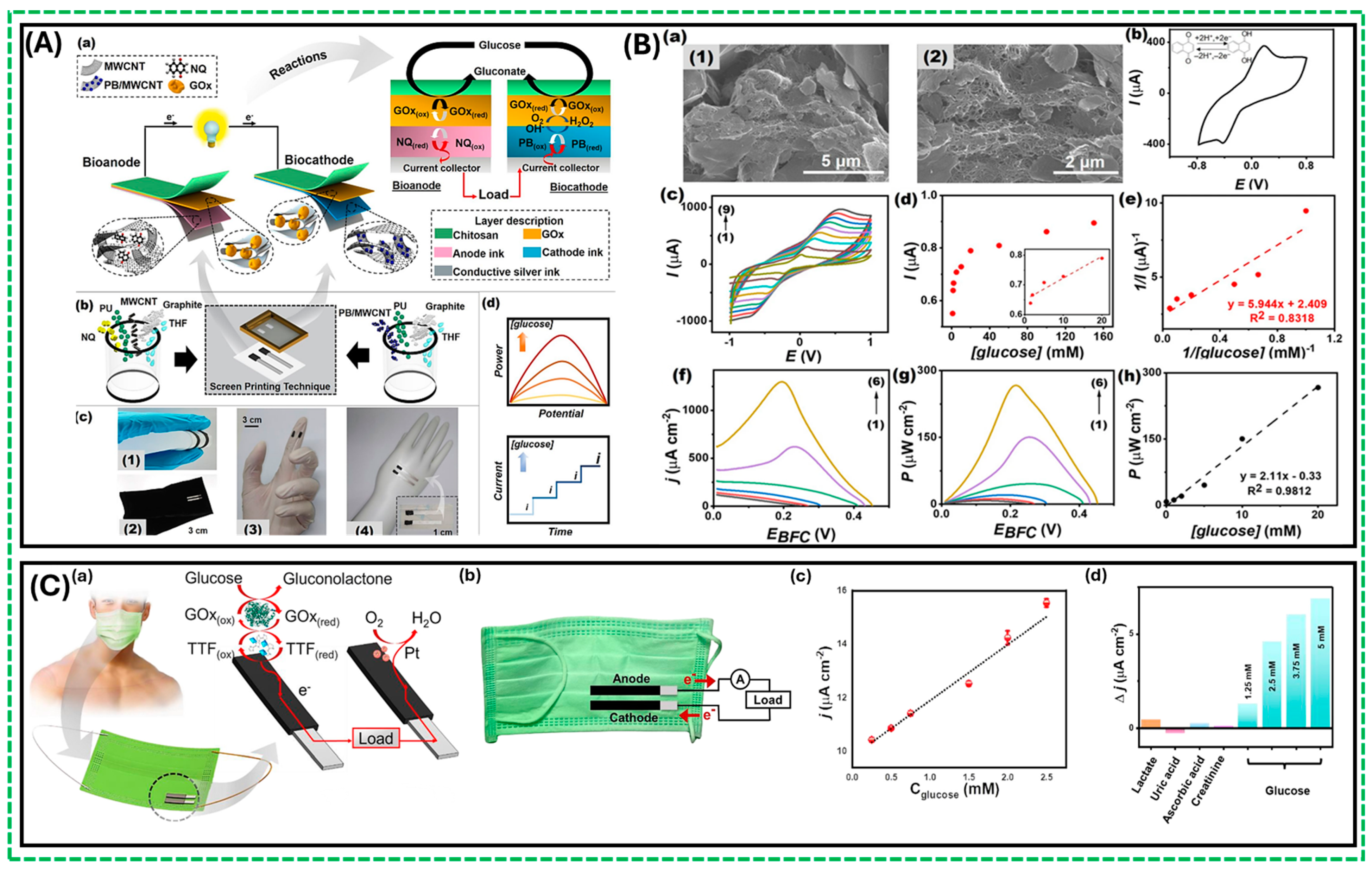 Biosensors 14 00316 g003