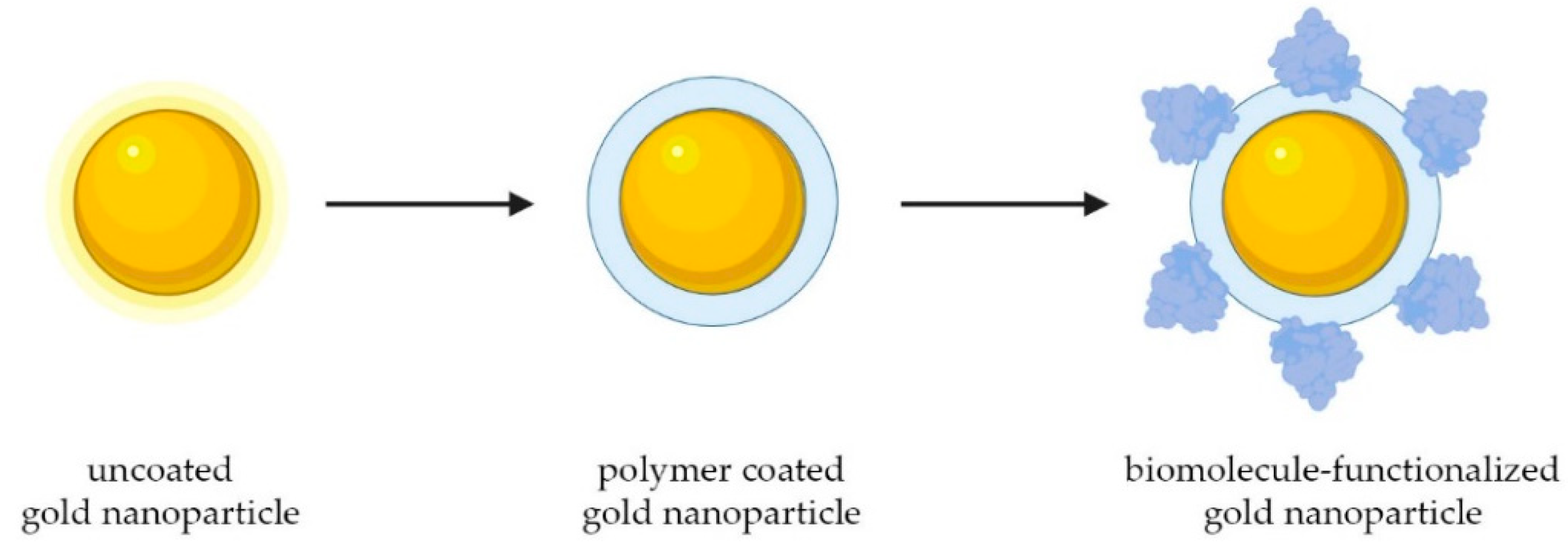 Biosensors 14 00319 sch001