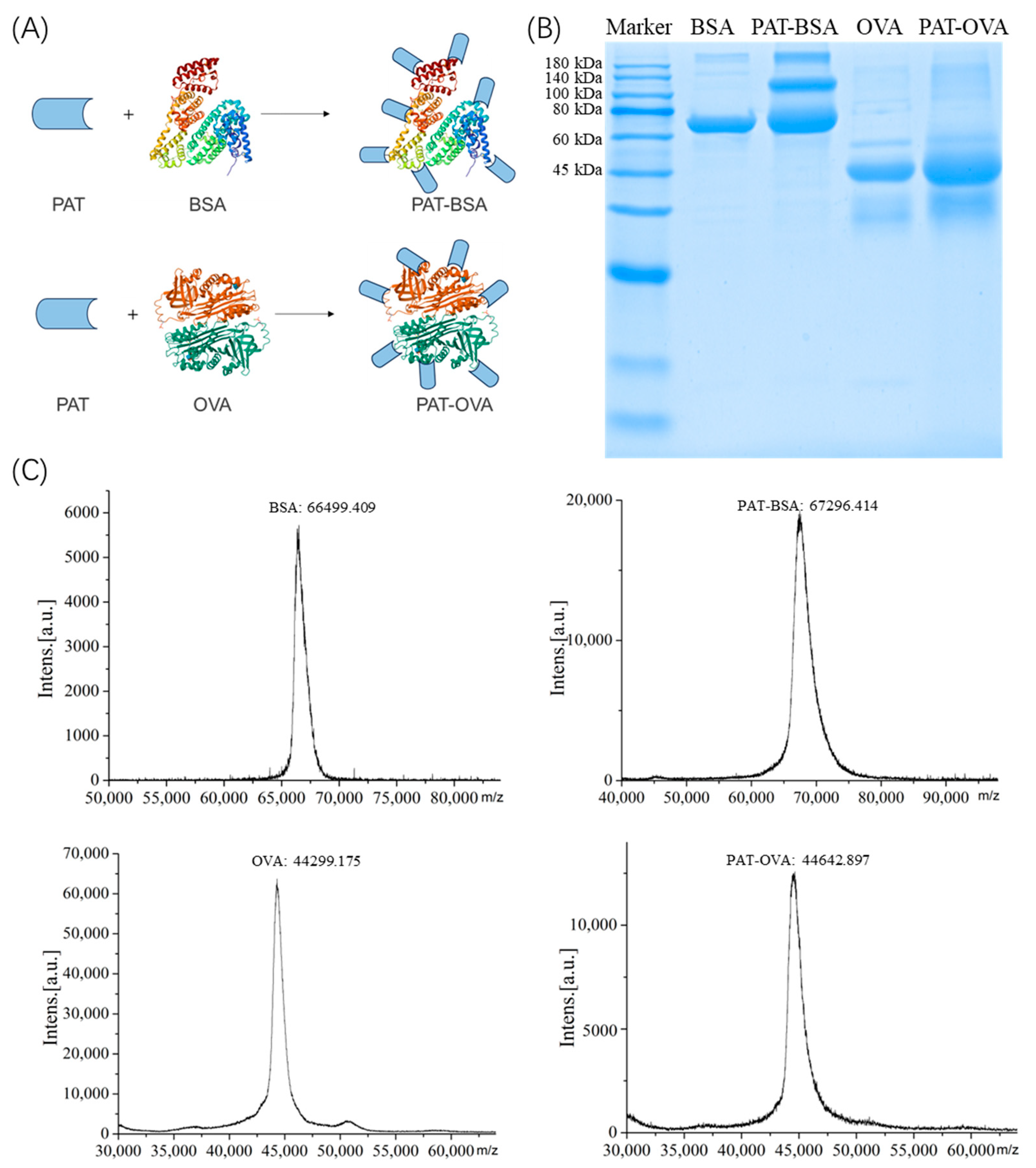Biosensors 14 00322 g001