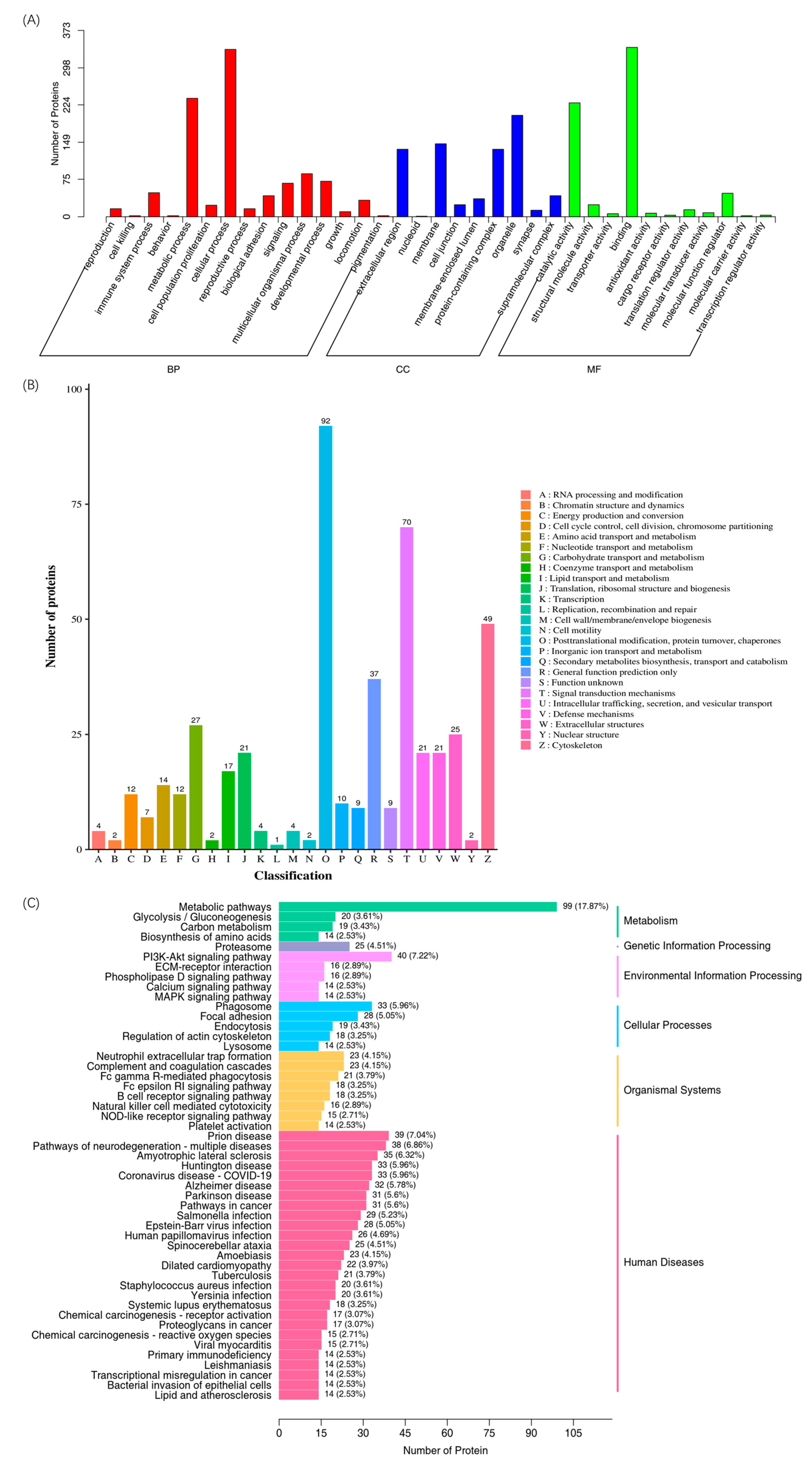 Biosensors 14 00322 g004