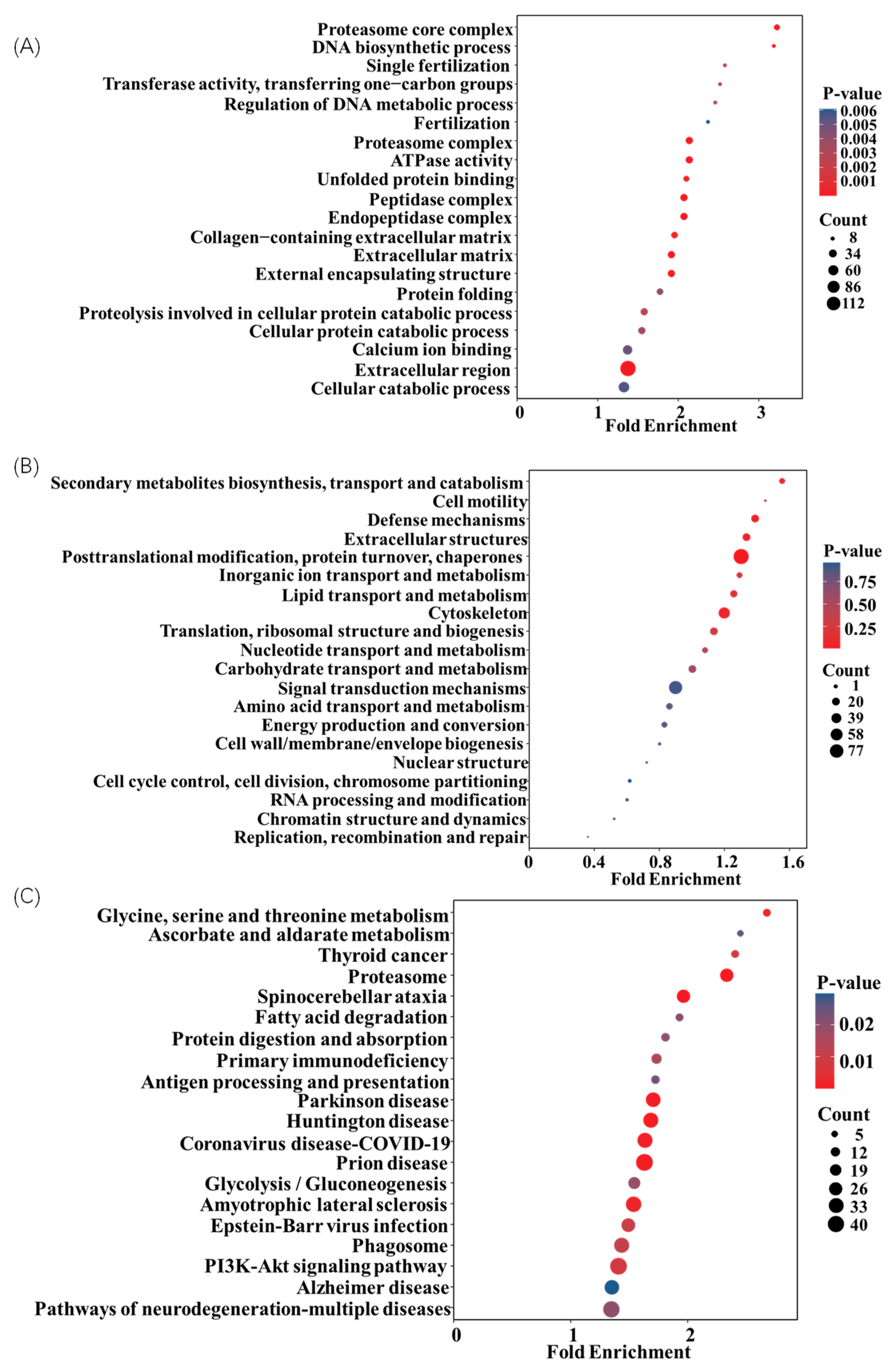 Biosensors 14 00322 g006