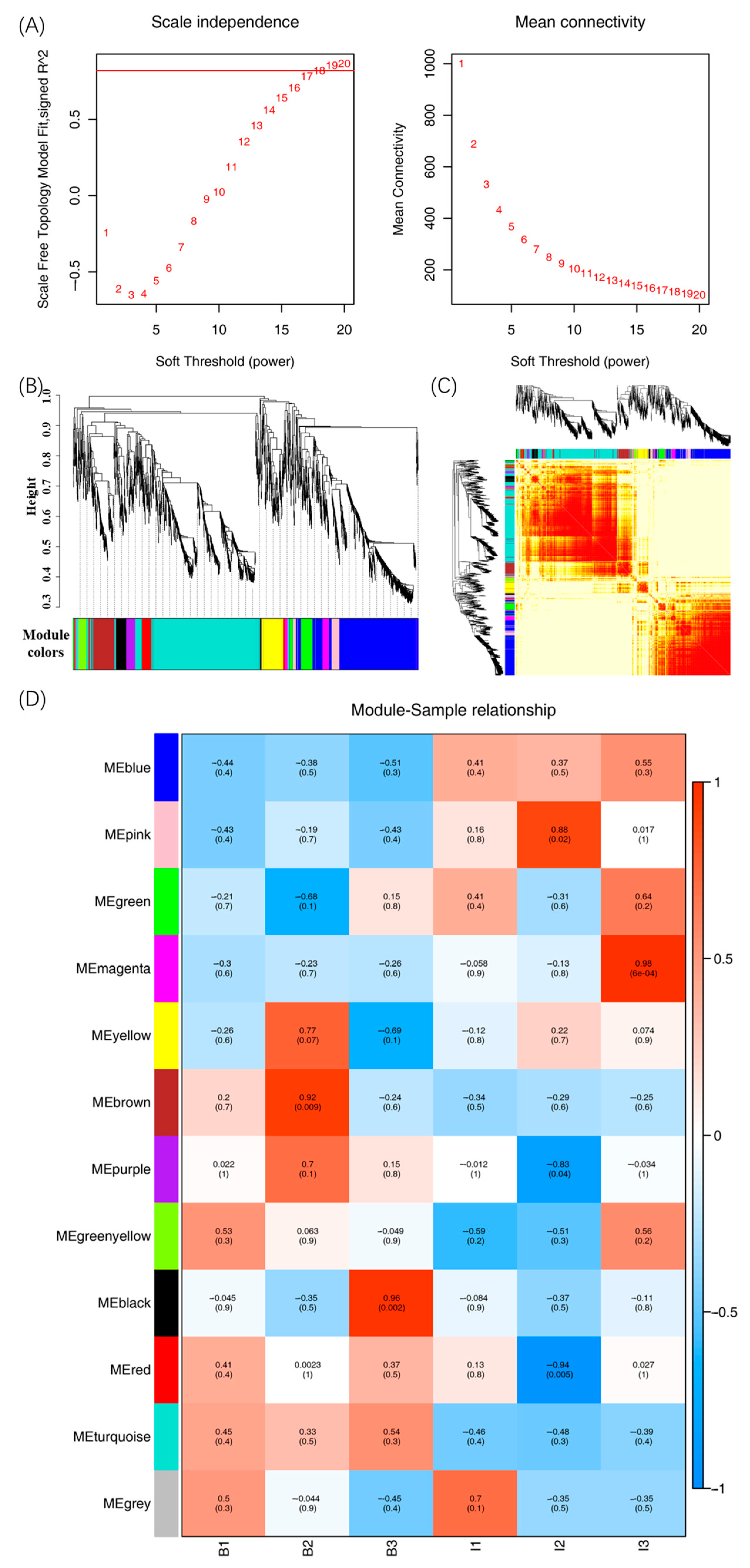 Biosensors 14 00322 g007