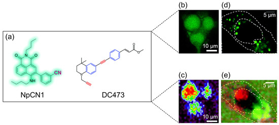 Correlative Raman Imaging: Development and Cancer Applications