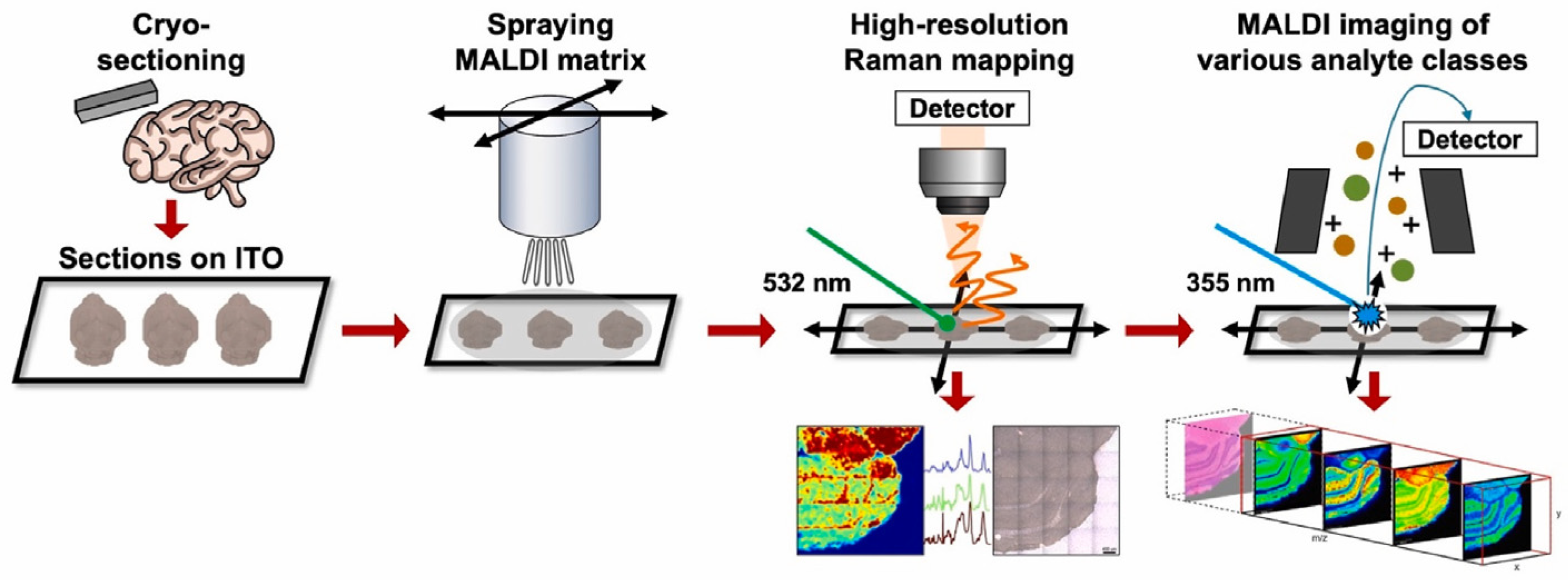 Biosensors 14 00324 g005