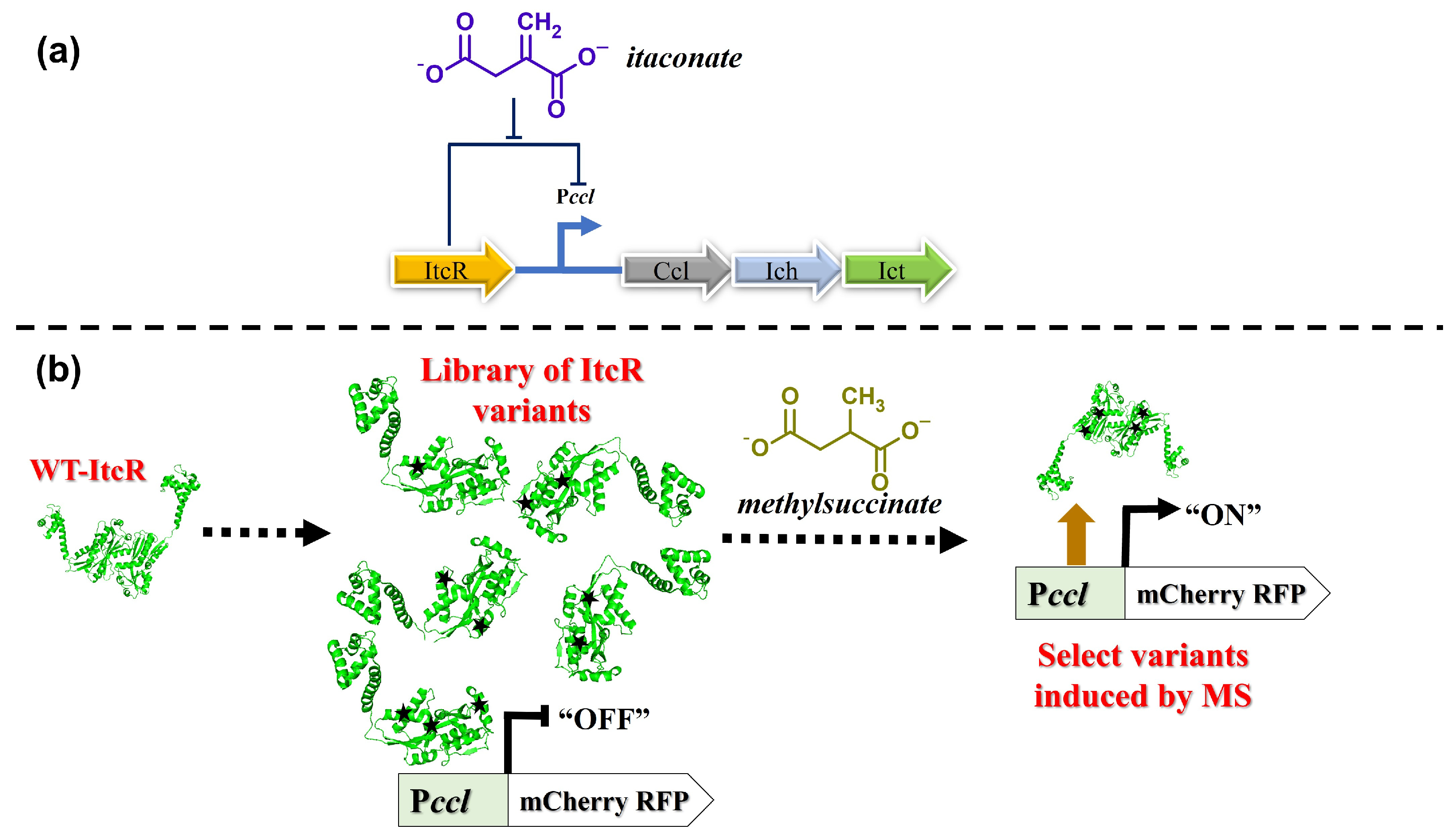 Biosensors 14 00325 g001