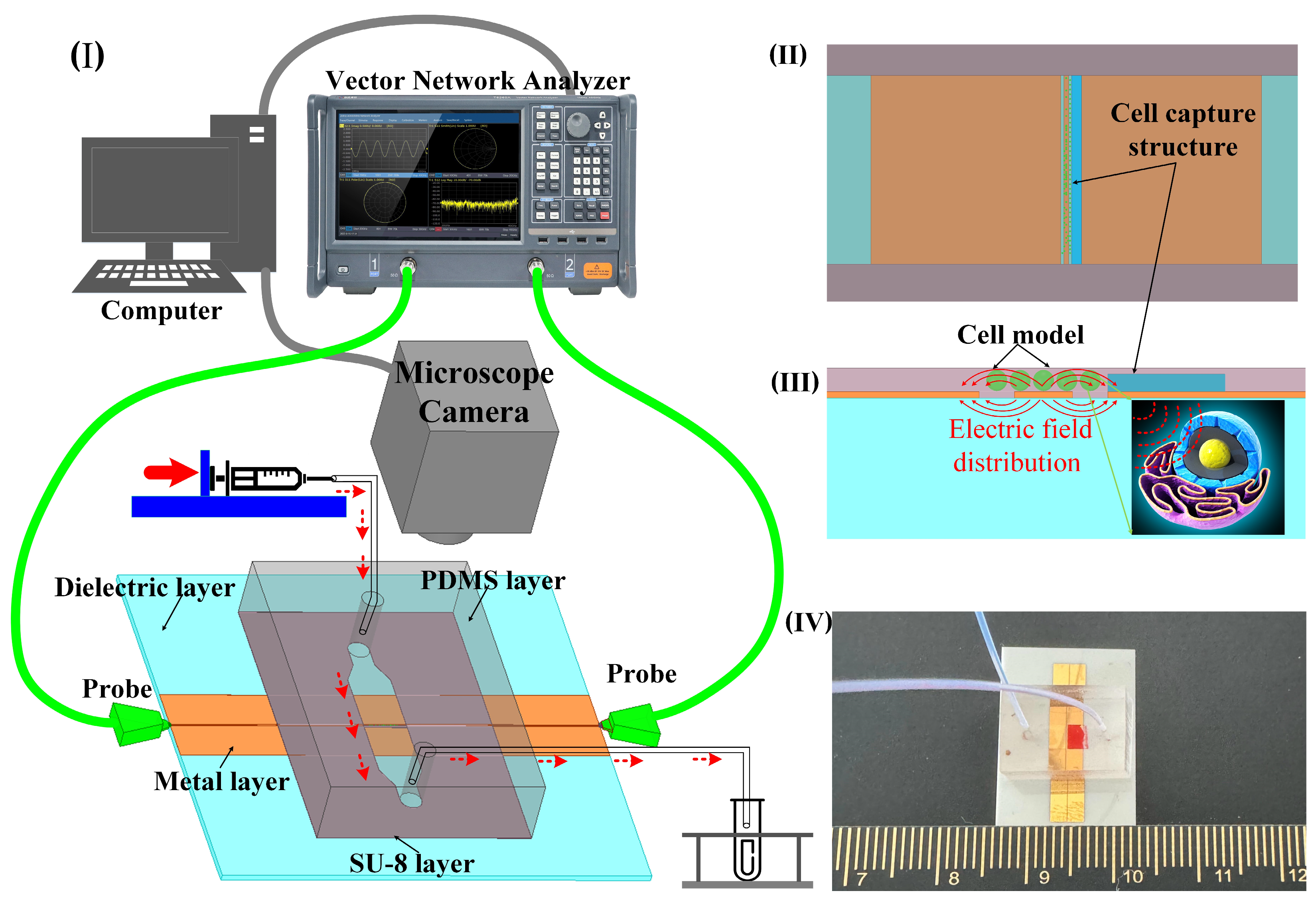 Biosensors 14 00327 g001