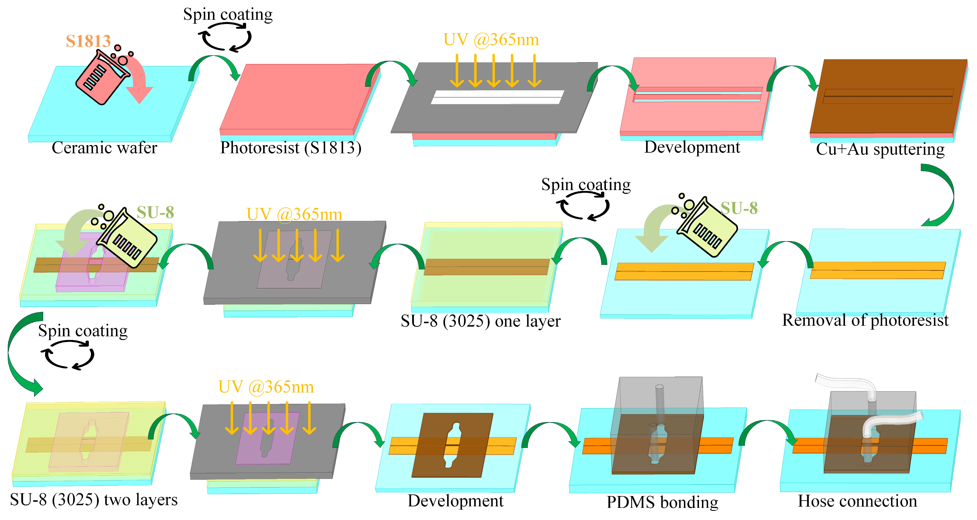 Biosensors 14 00327 g002