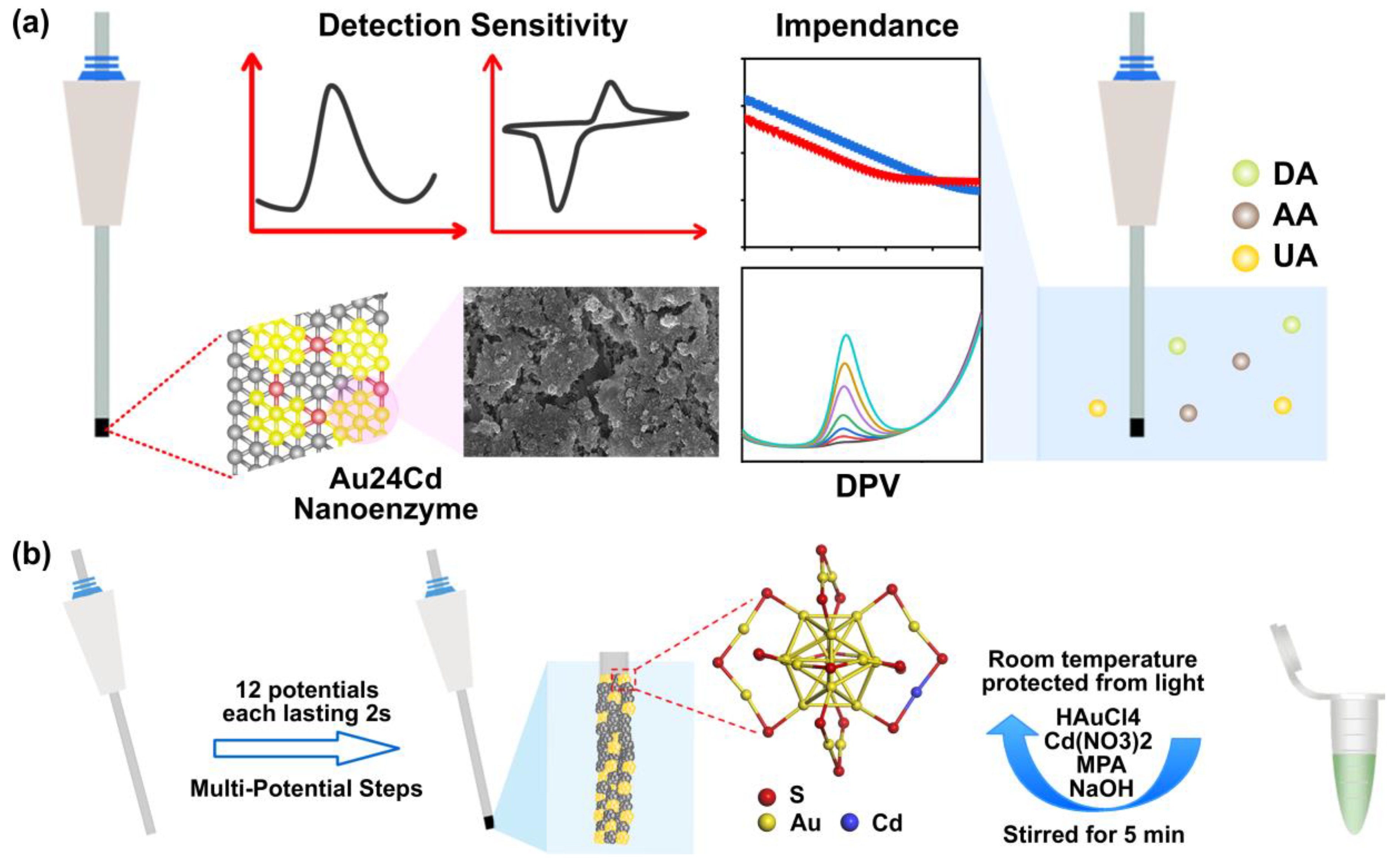 Biosensors 14 00328 g001