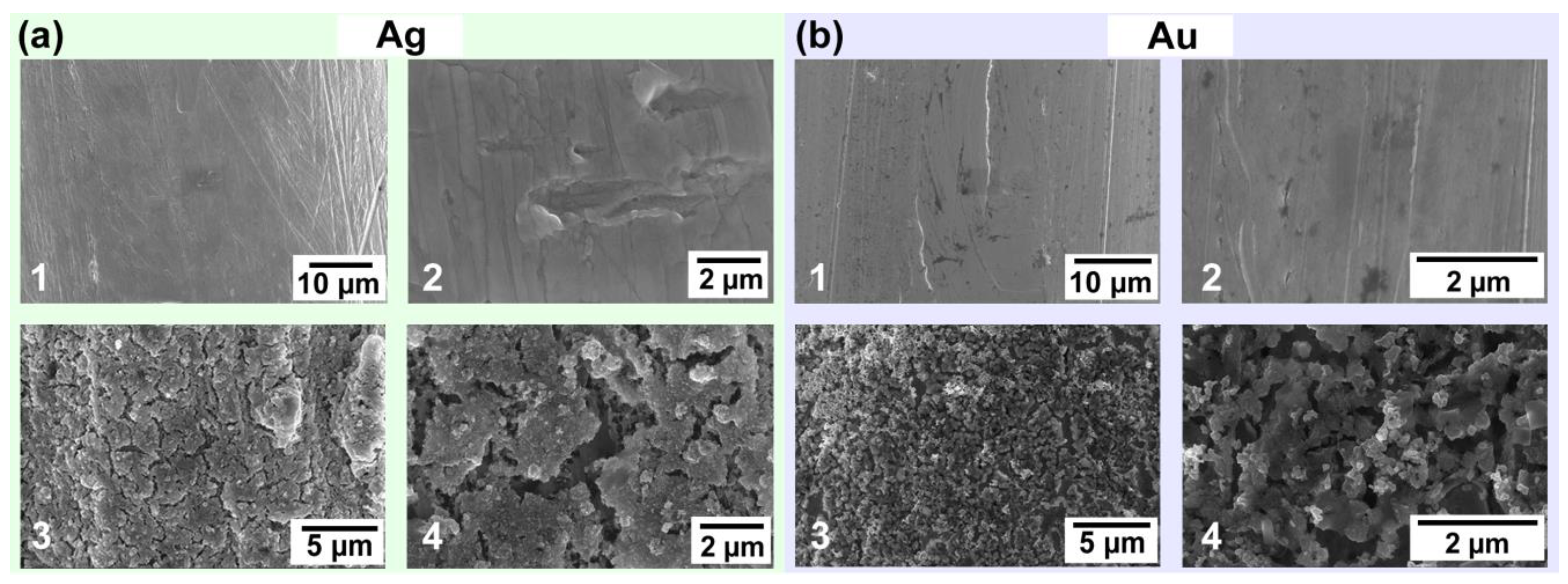 Biosensors 14 00328 g002