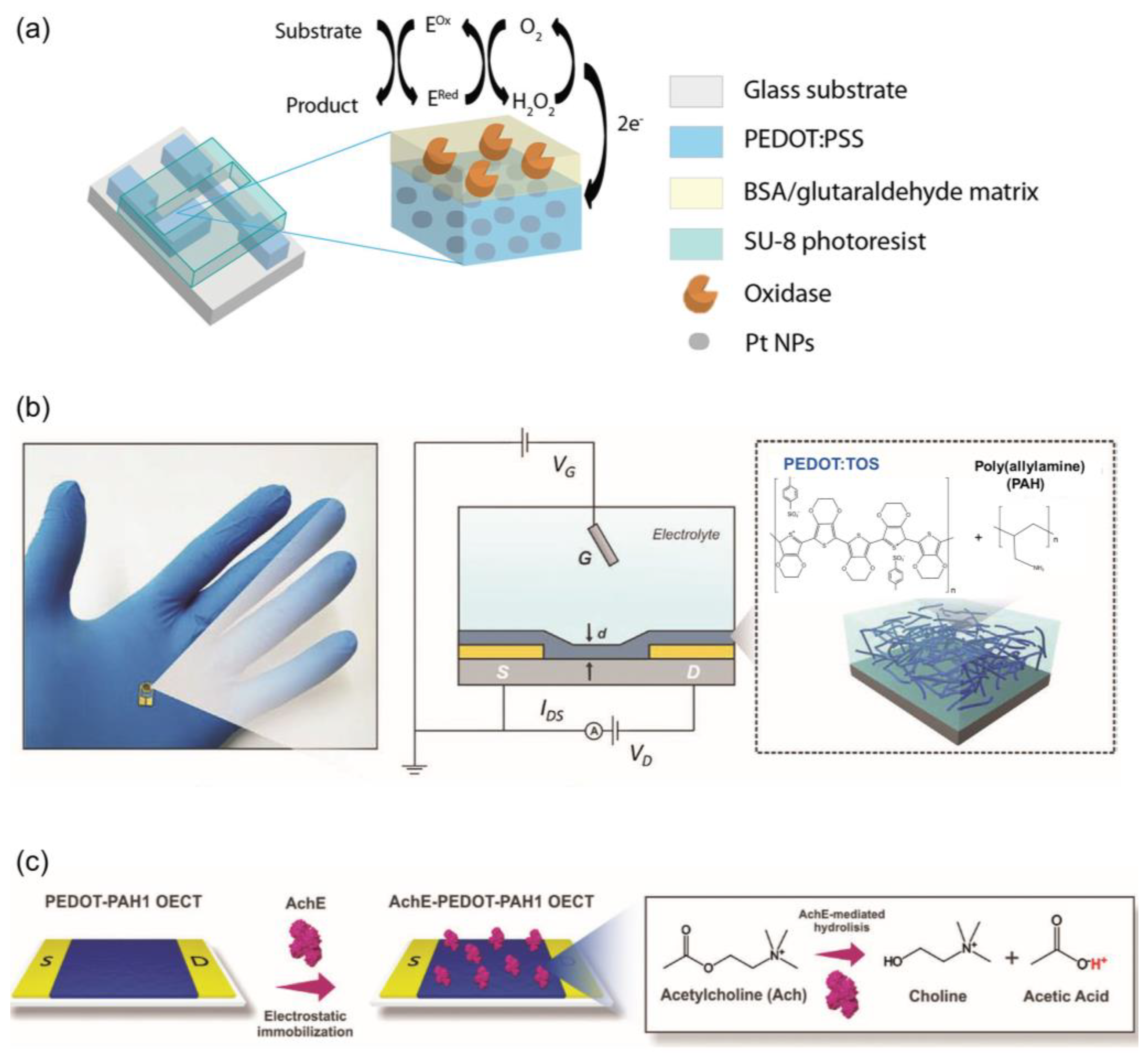 Biosensors 14 00330 g004 Biosensors 14 00330 g004