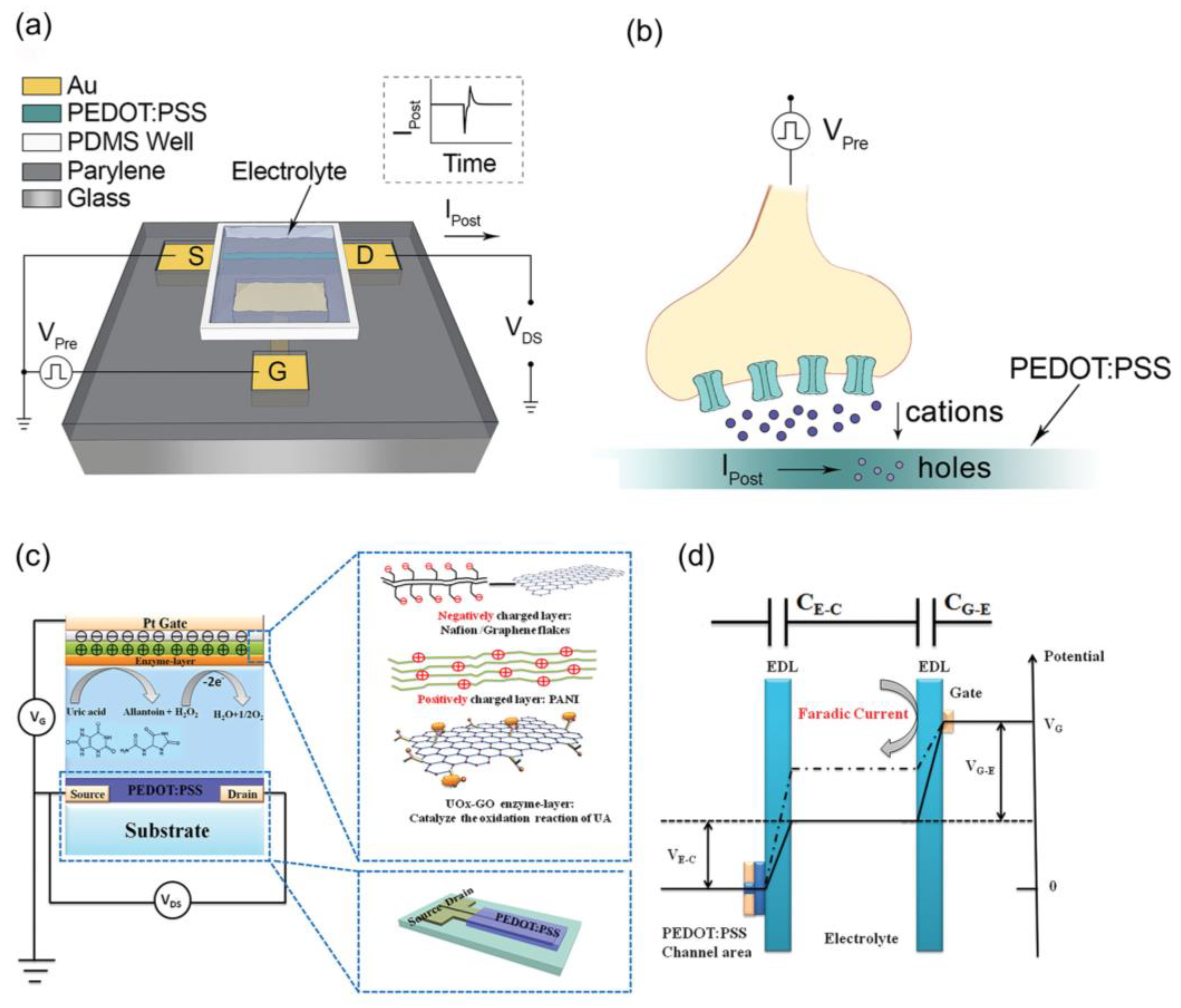 Biosensors 14 00330 g005 Biosensors 14 00330 g005