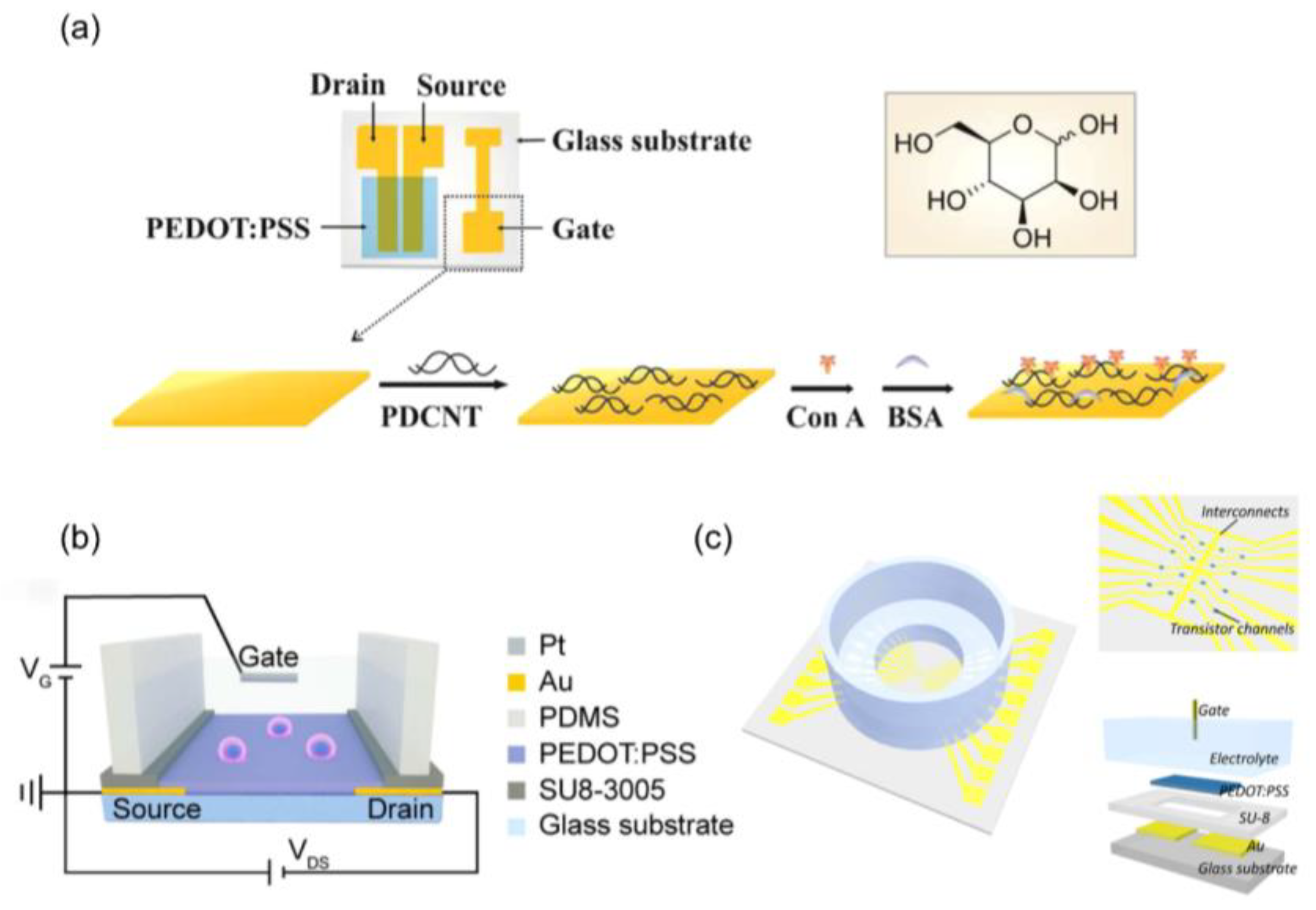 Biosensors 14 00330 g008 Biosensors 14 00330 g008