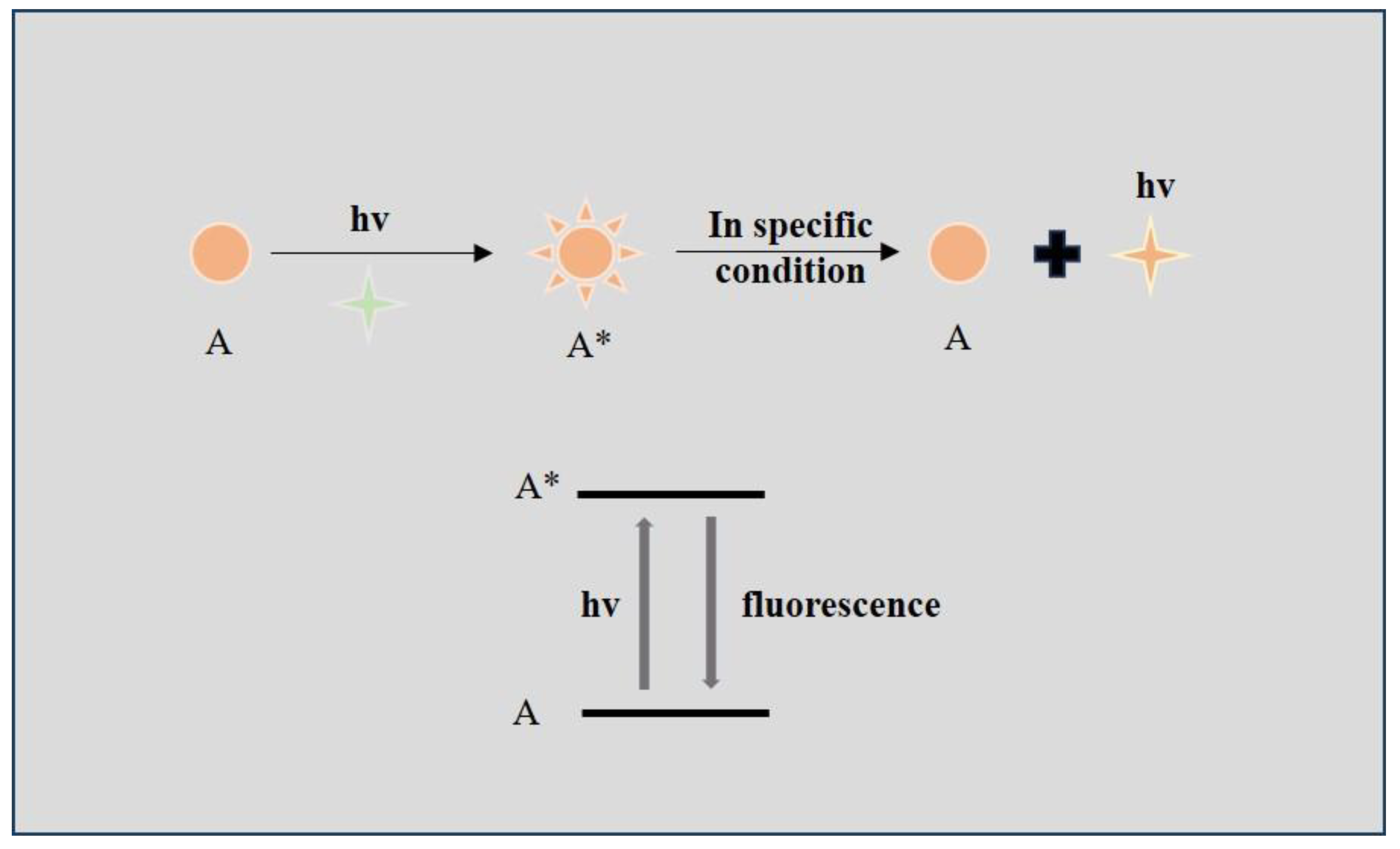 Biosensors 14 00333 g001 Biosensors 14 00333 g001
