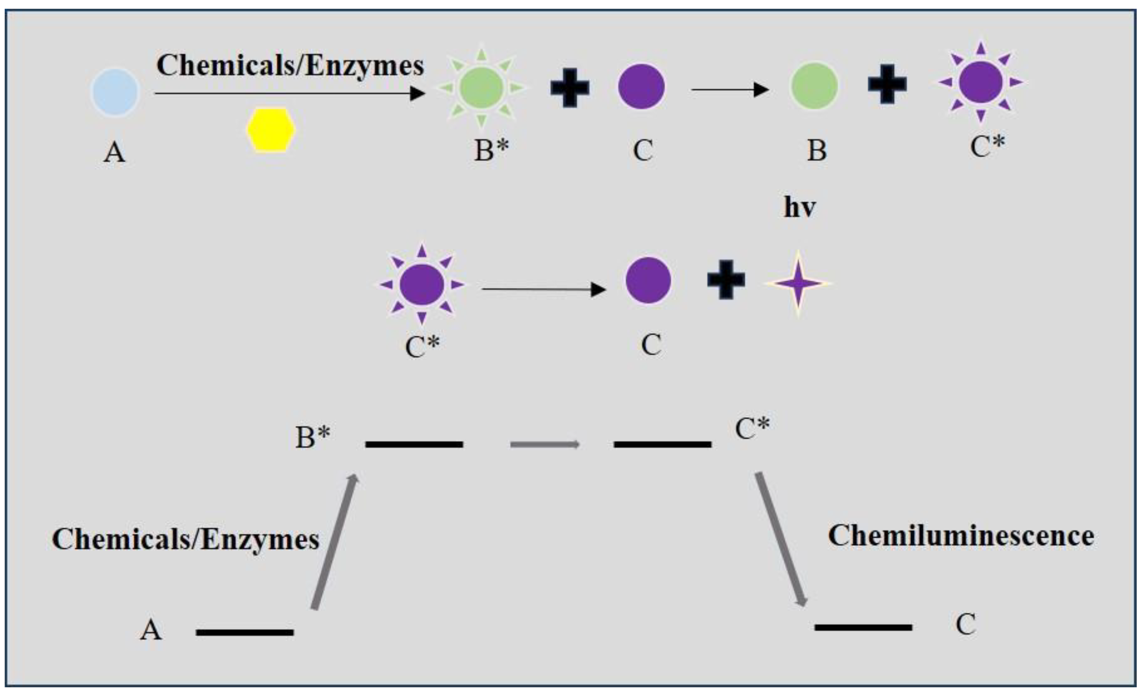 Biosensors 14 00333 g003 Biosensors 14 00333 g003