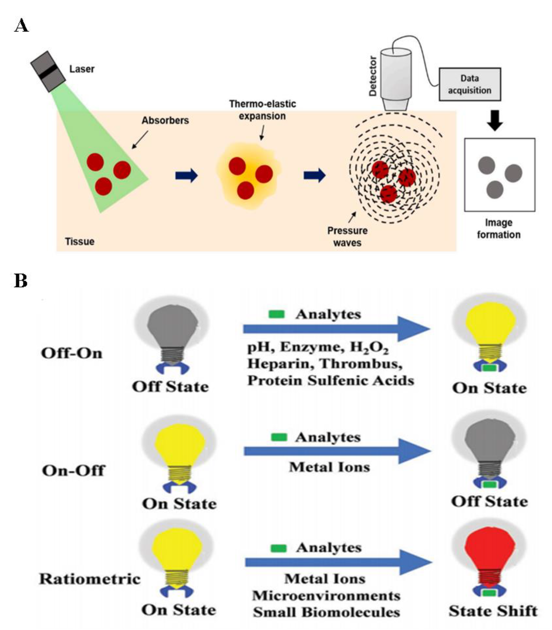 Biosensors 14 00333 g005 Biosensors 14 00333 g005