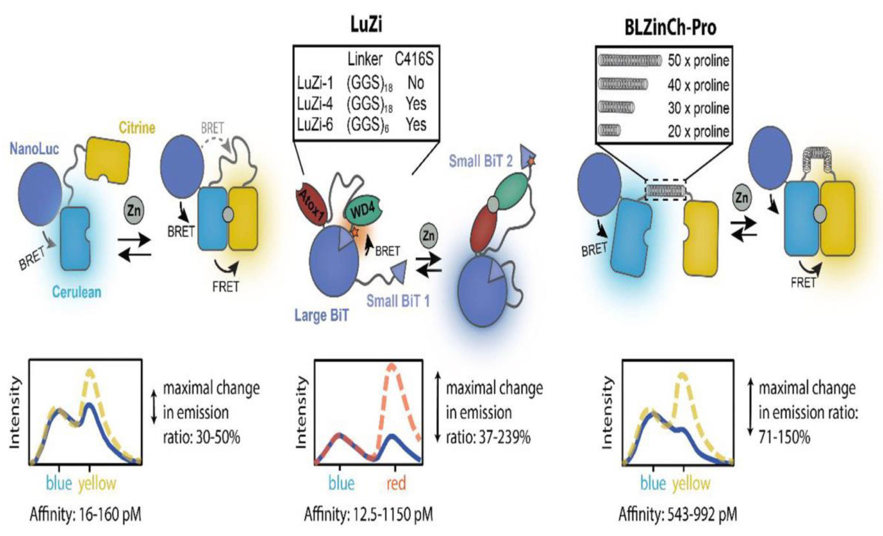 Biosensors 14 00333 g008 Biosensors 14 00333 g008