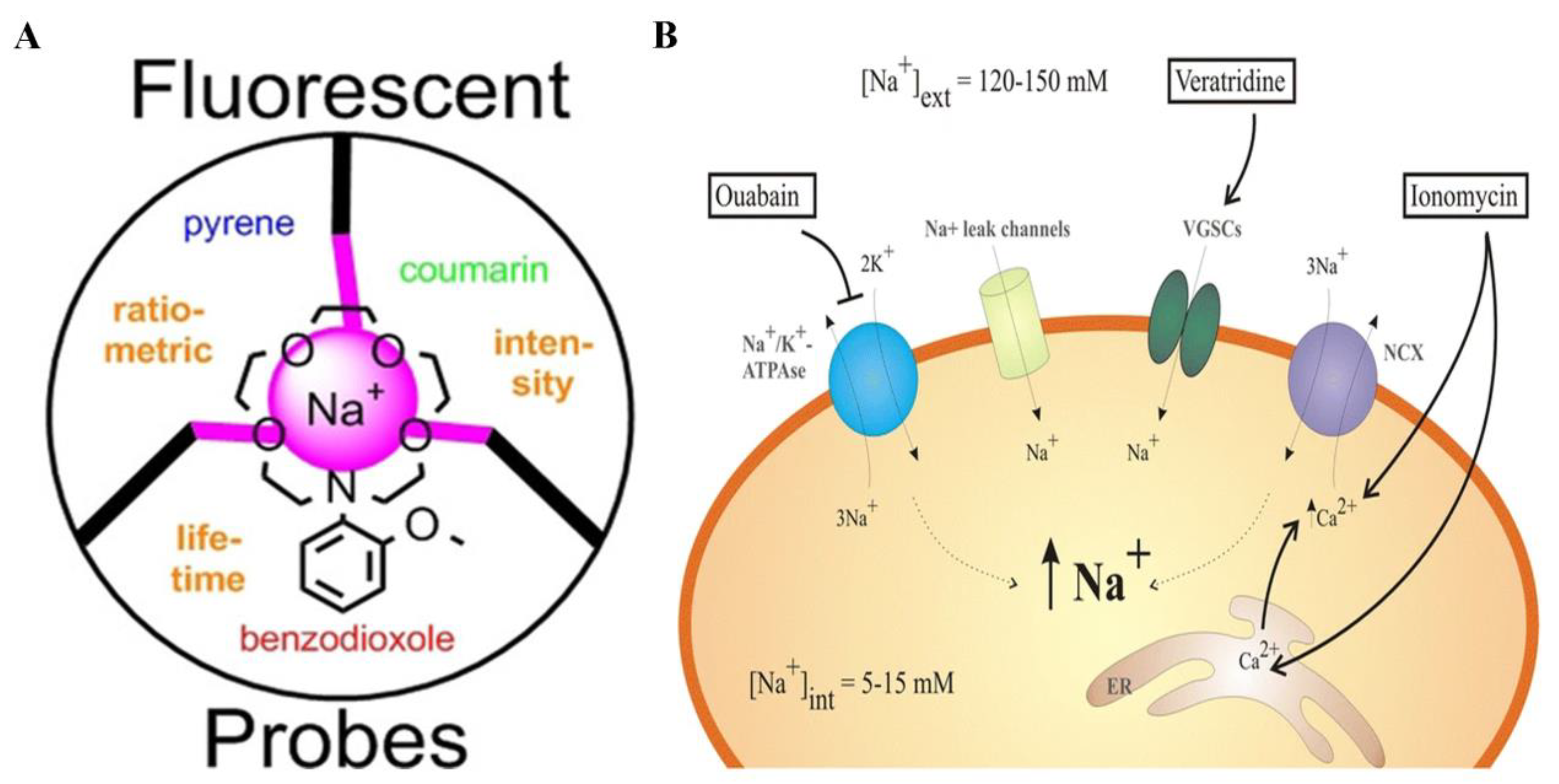 Biosensors 14 00333 g010 Biosensors 14 00333 g010
