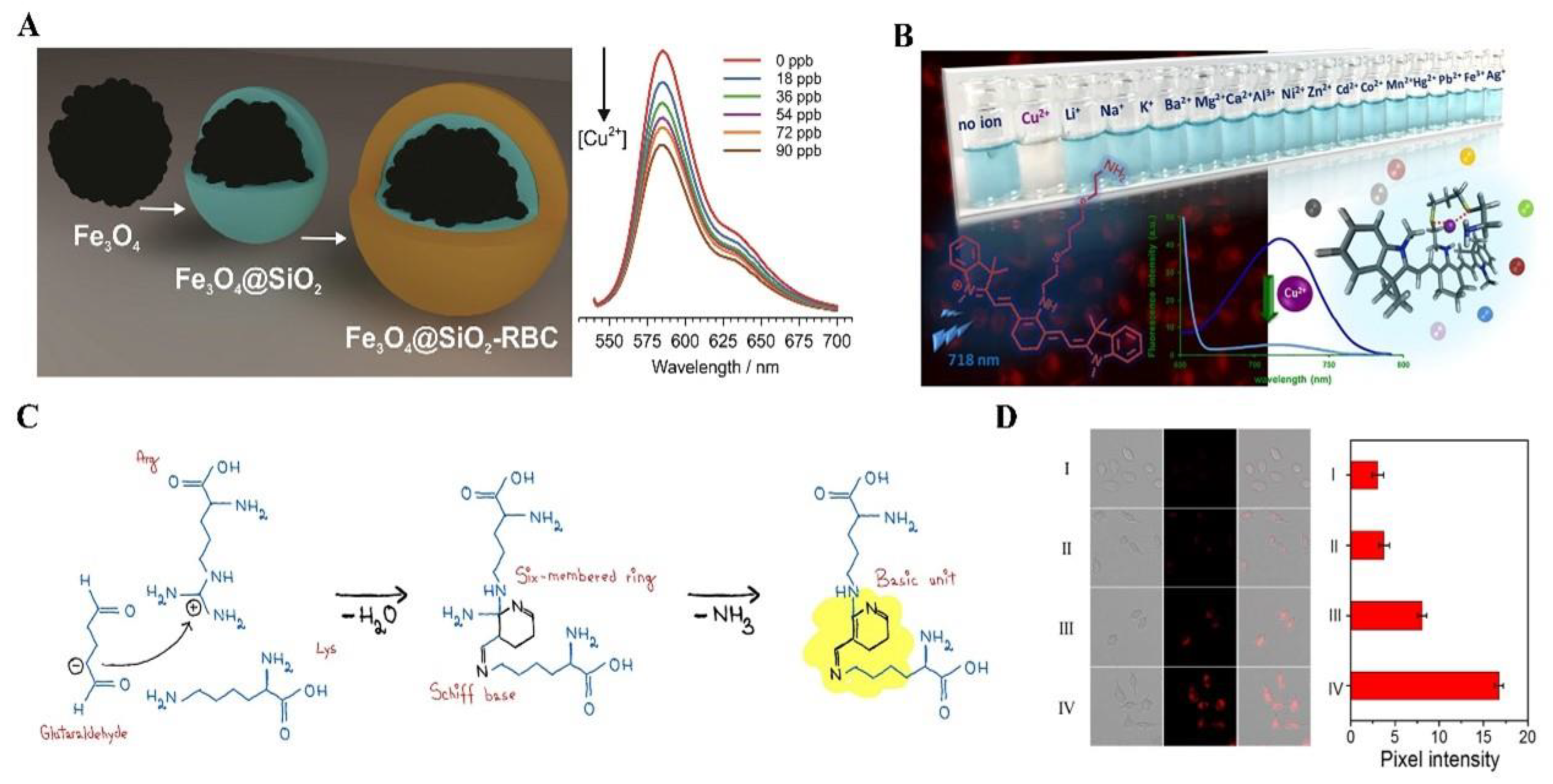 Biosensors 14 00333 g012 Biosensors 14 00333 g012