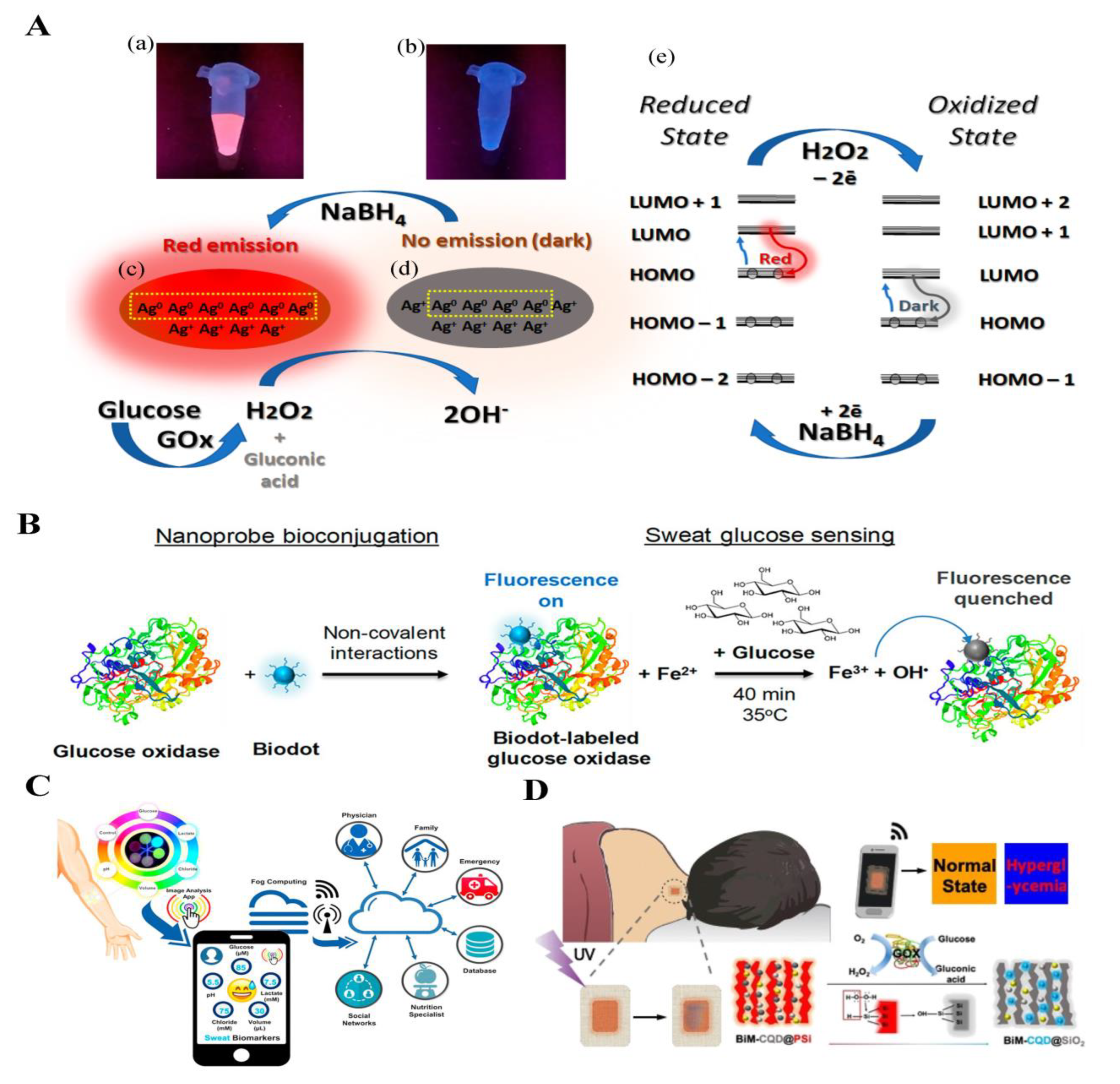 Biosensors 14 00333 g014 Biosensors 14 00333 g014