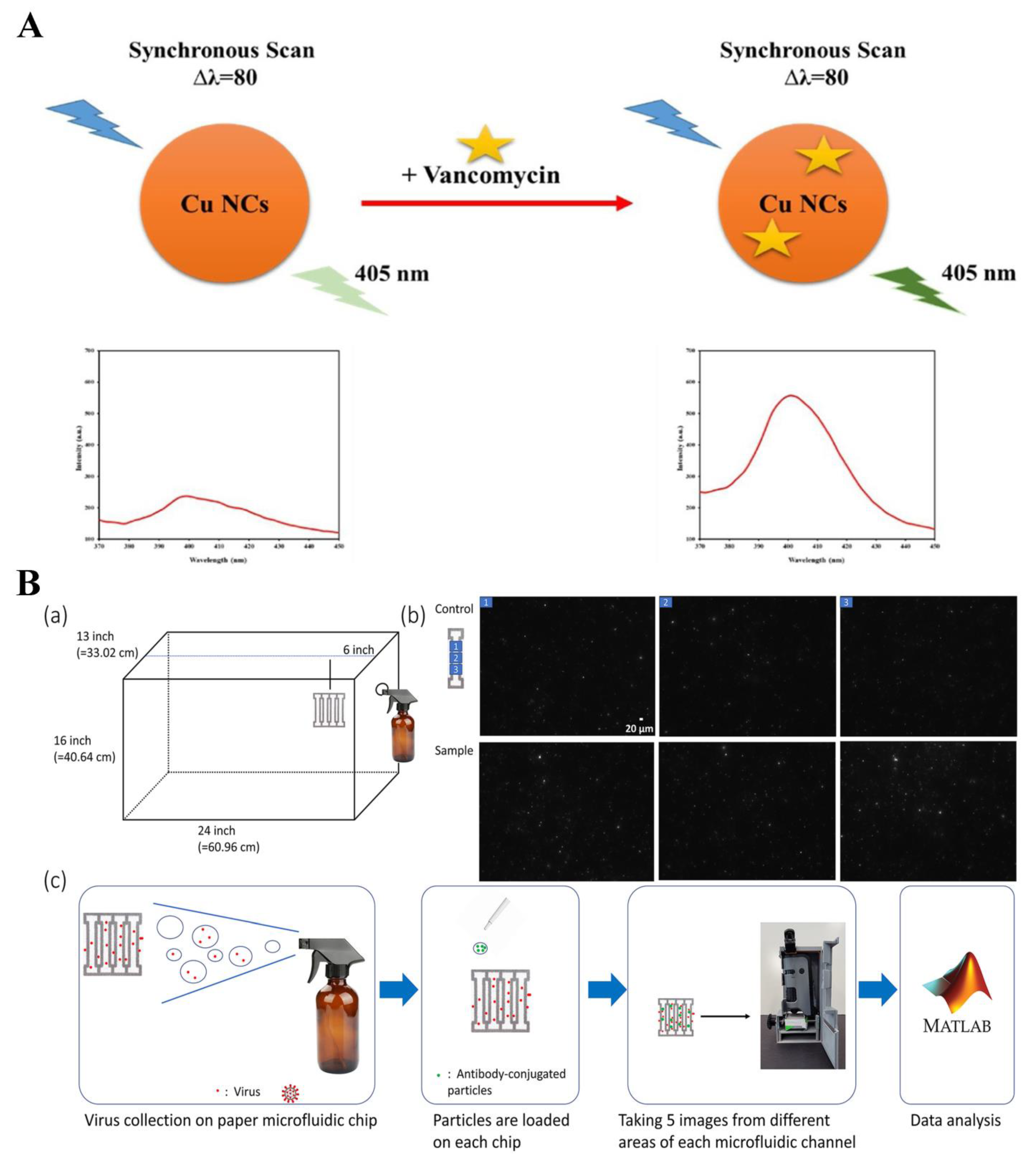 Biosensors 14 00333 g016 Biosensors 14 00333 g016