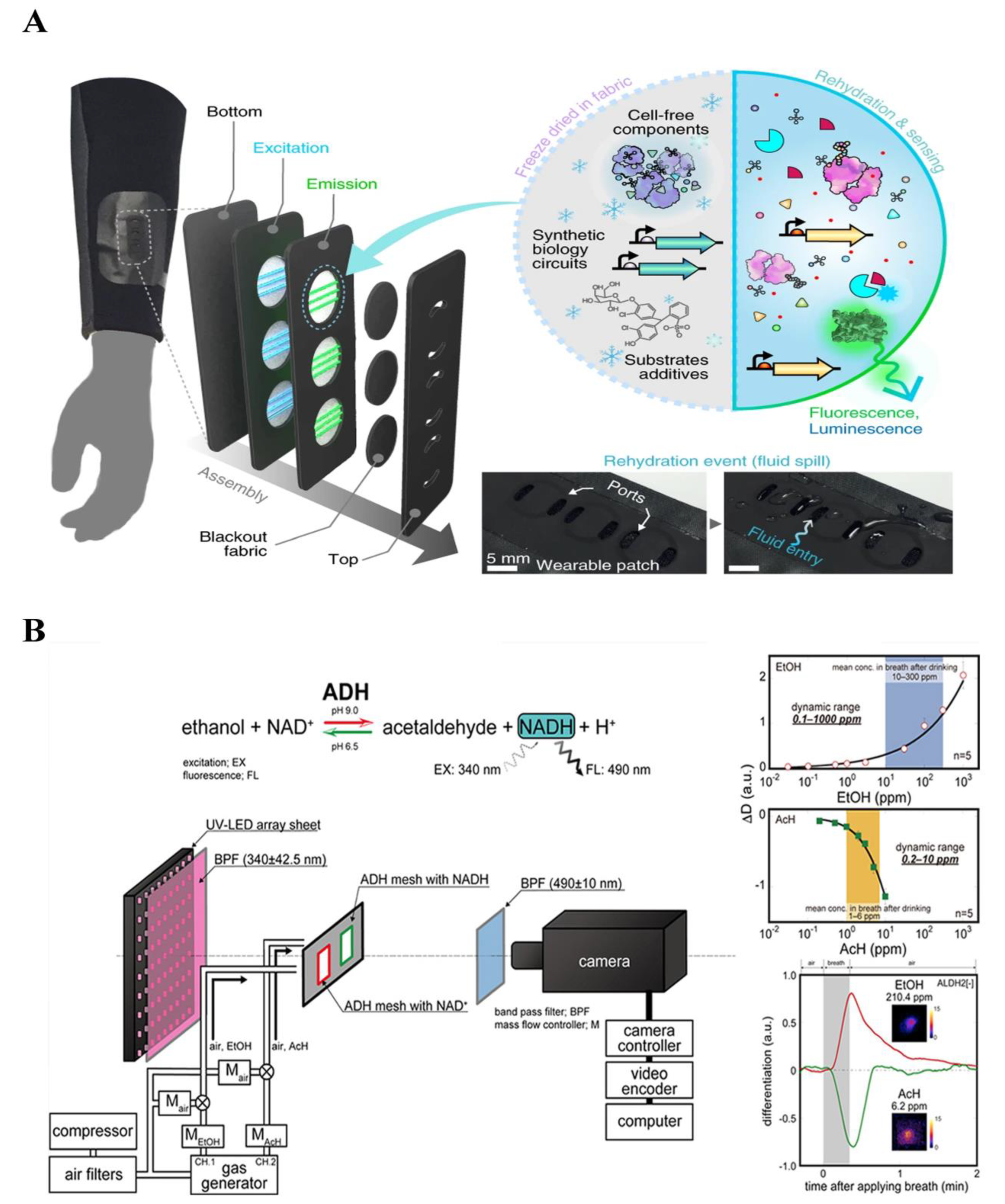 Biosensors 14 00333 g017 Biosensors 14 00333 g017