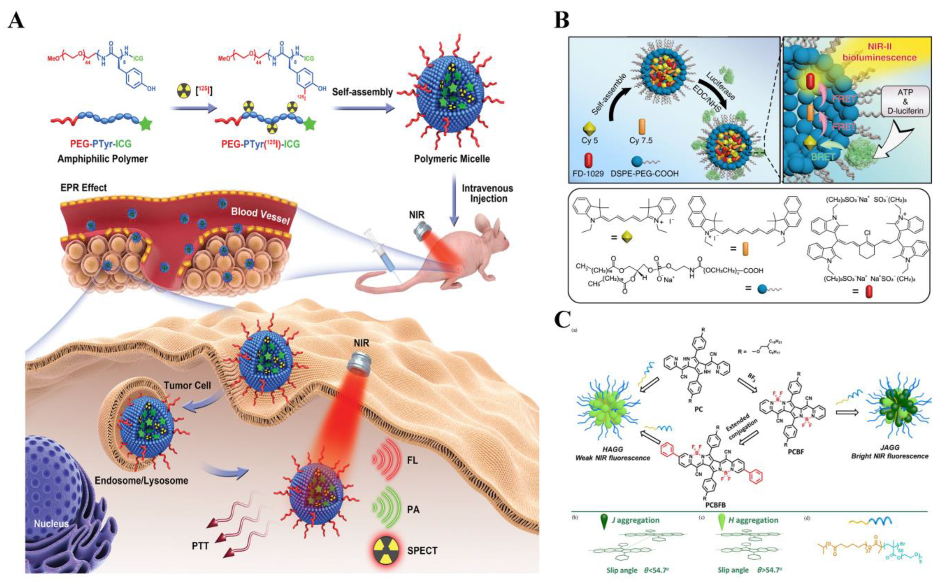 Biosensors 14 00333 g018 Biosensors 14 00333 g018