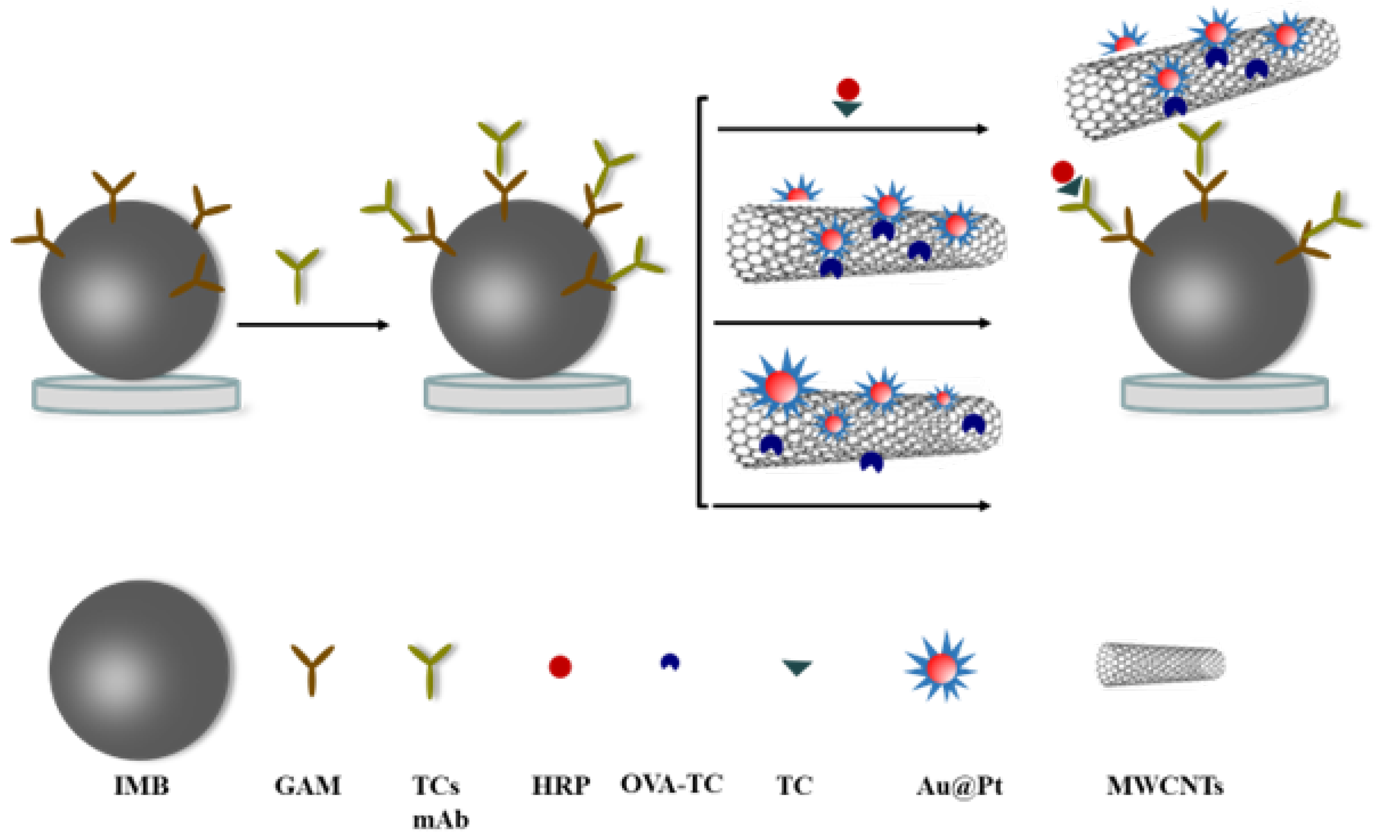 Biosensors 14 00342 g001