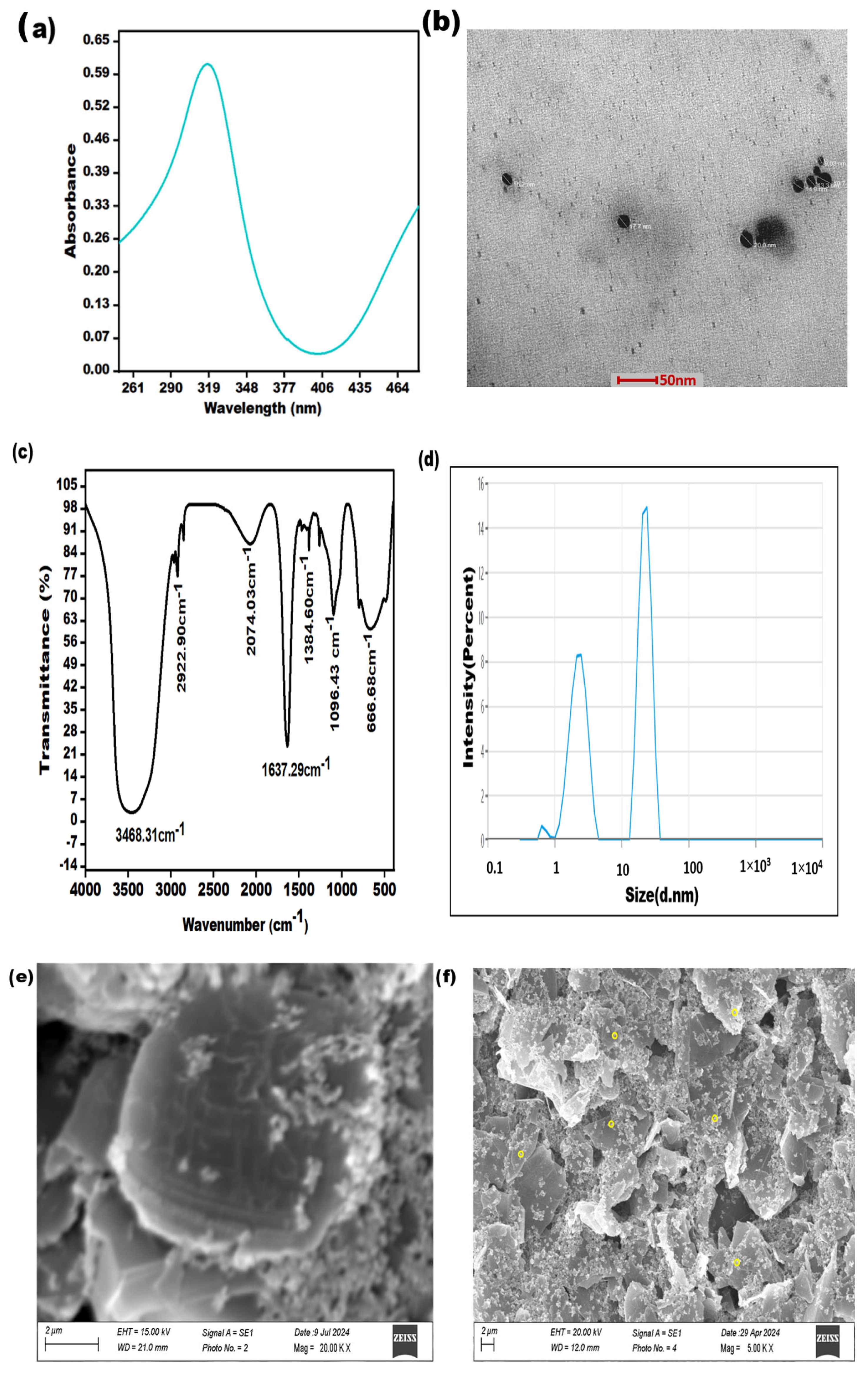 Biosensors 14 00344 g001