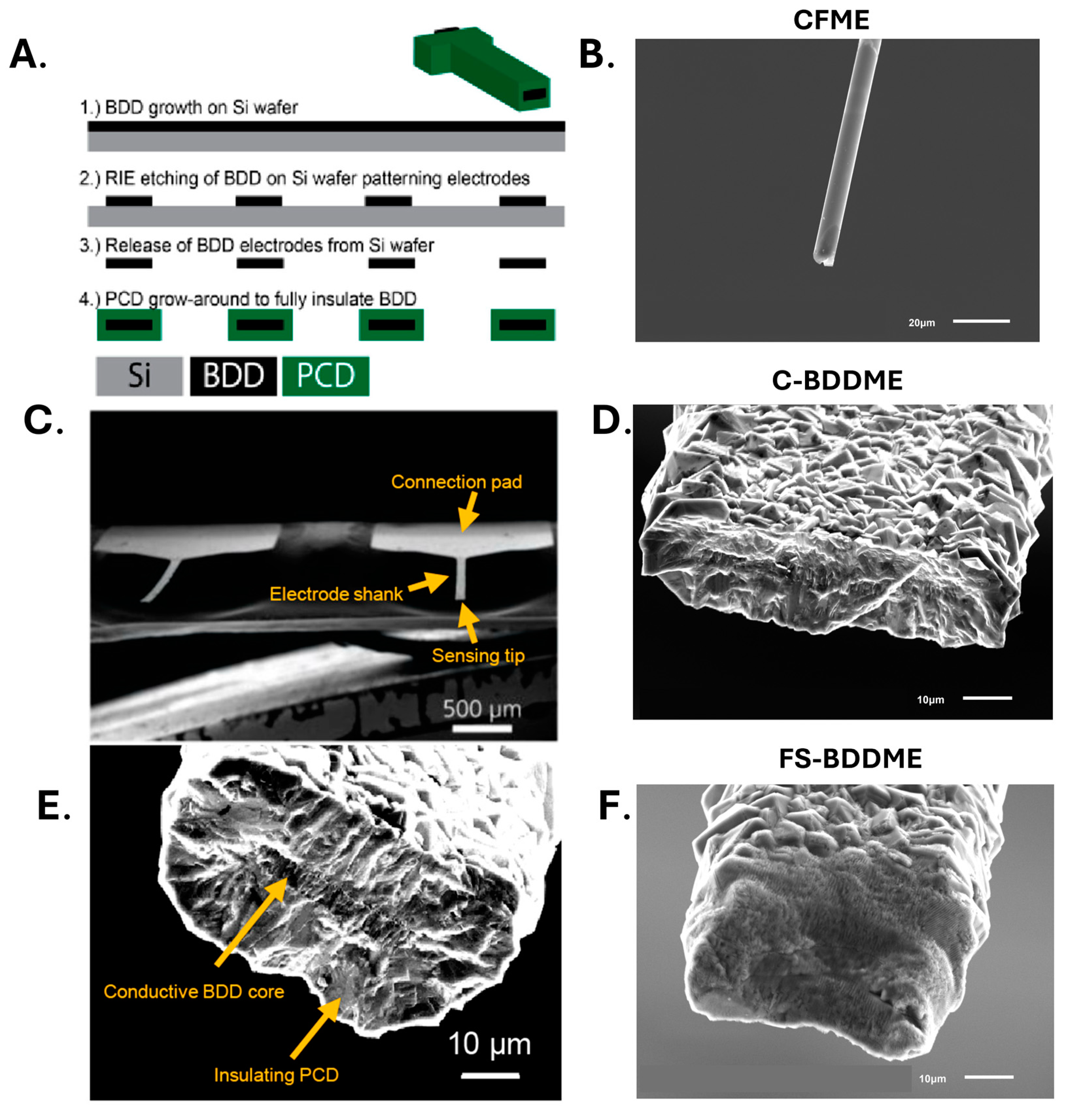 Biosensors 14 00352 g001