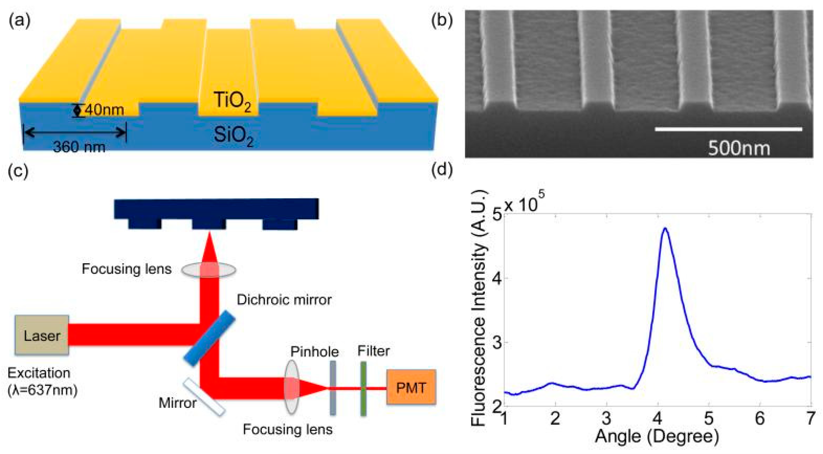 Biosensors 14 00353 g002 Biosensors 14 00353 g002
