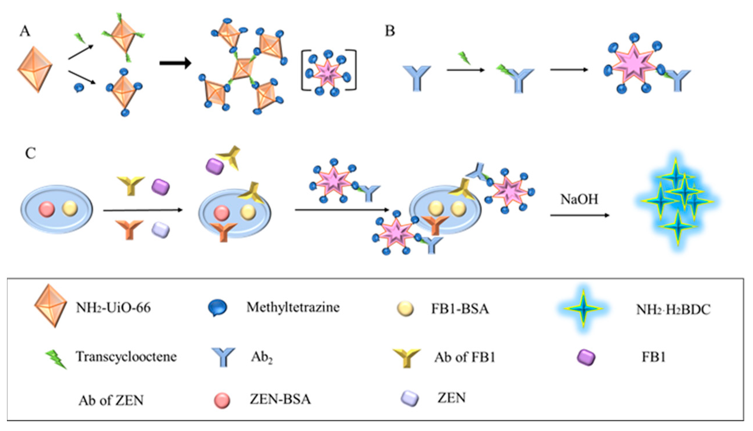 Biosensors 14 00355 g001