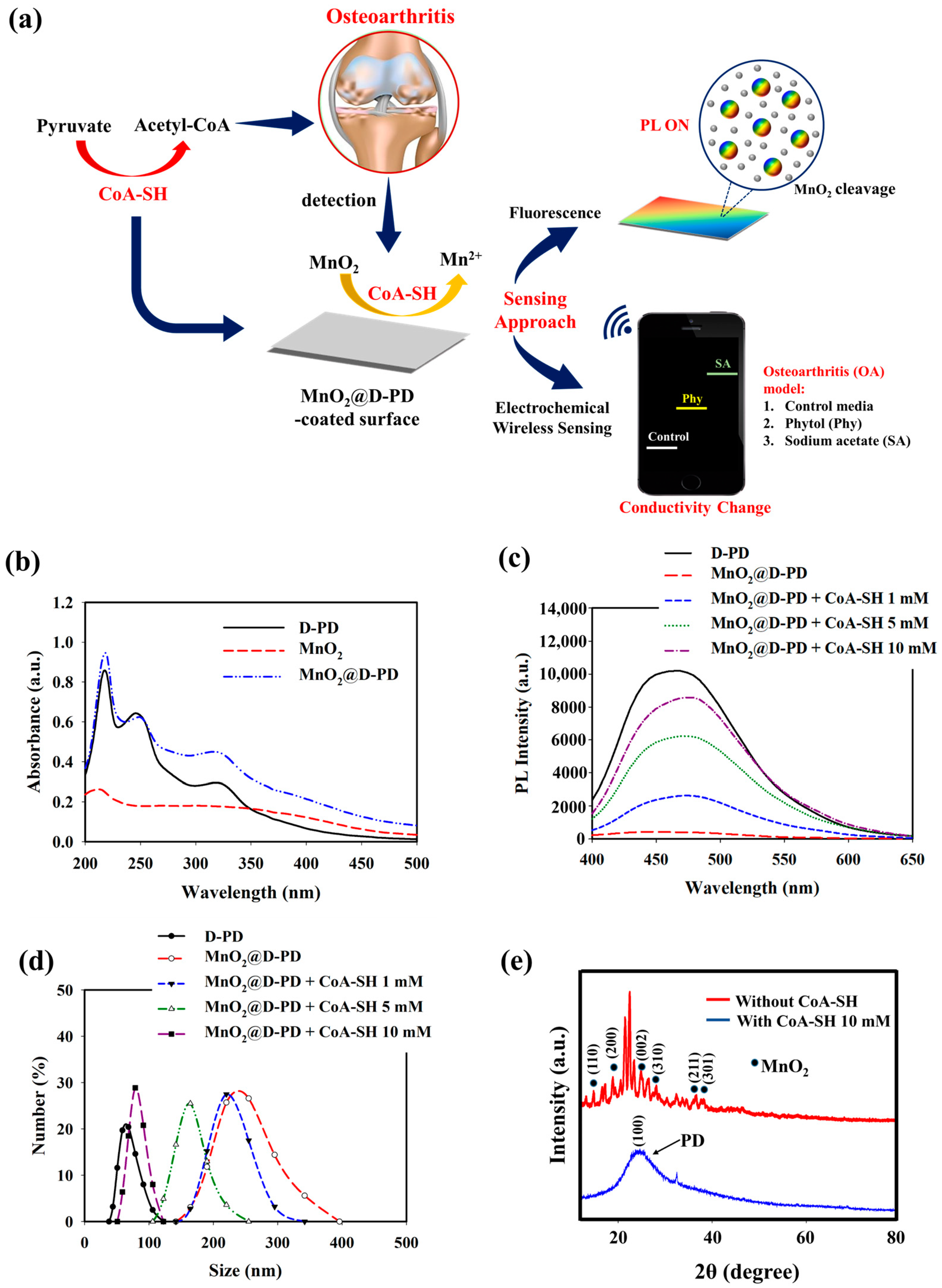 Biosensors 14 00357 g001