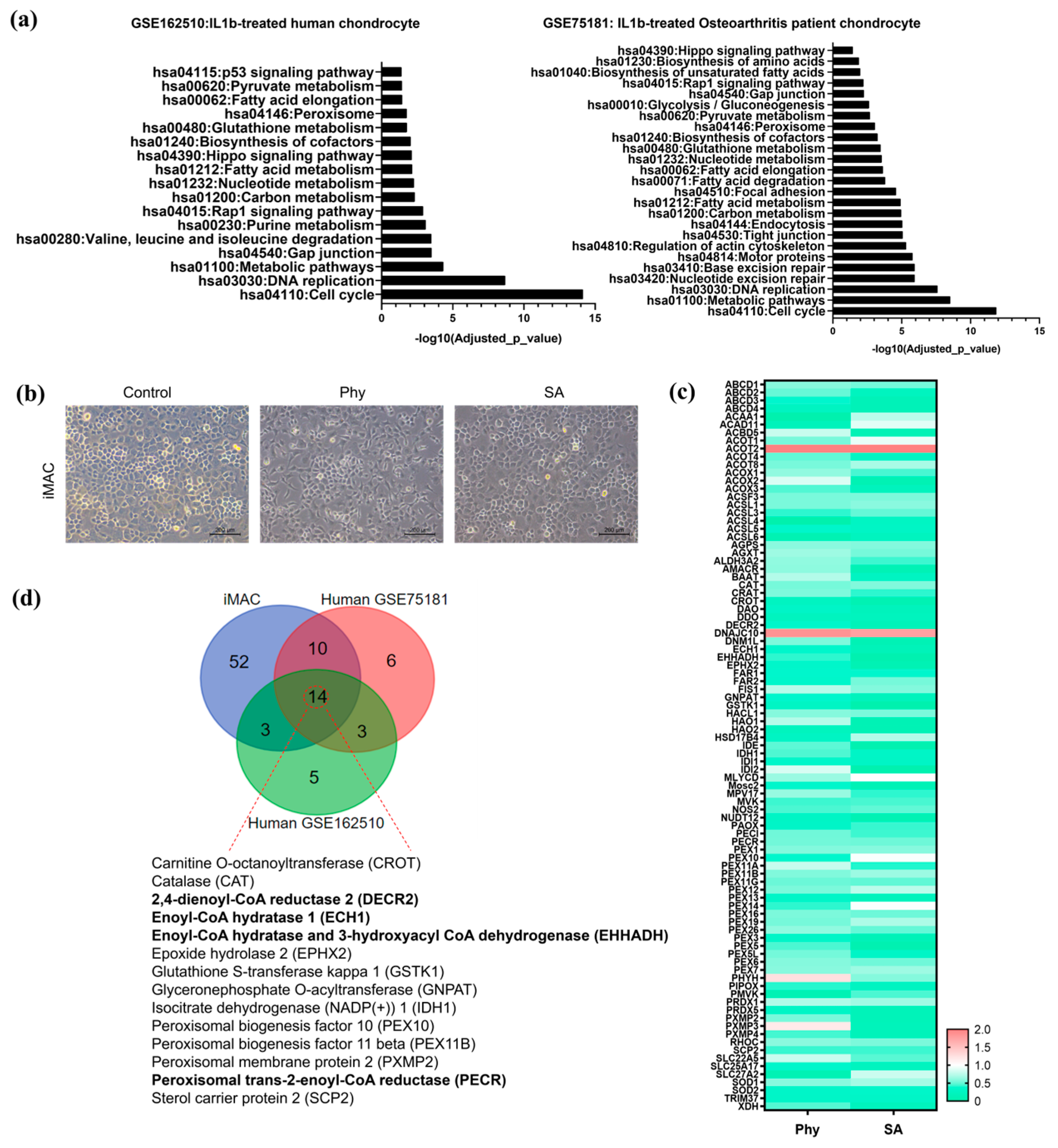 Biosensors 14 00357 g003