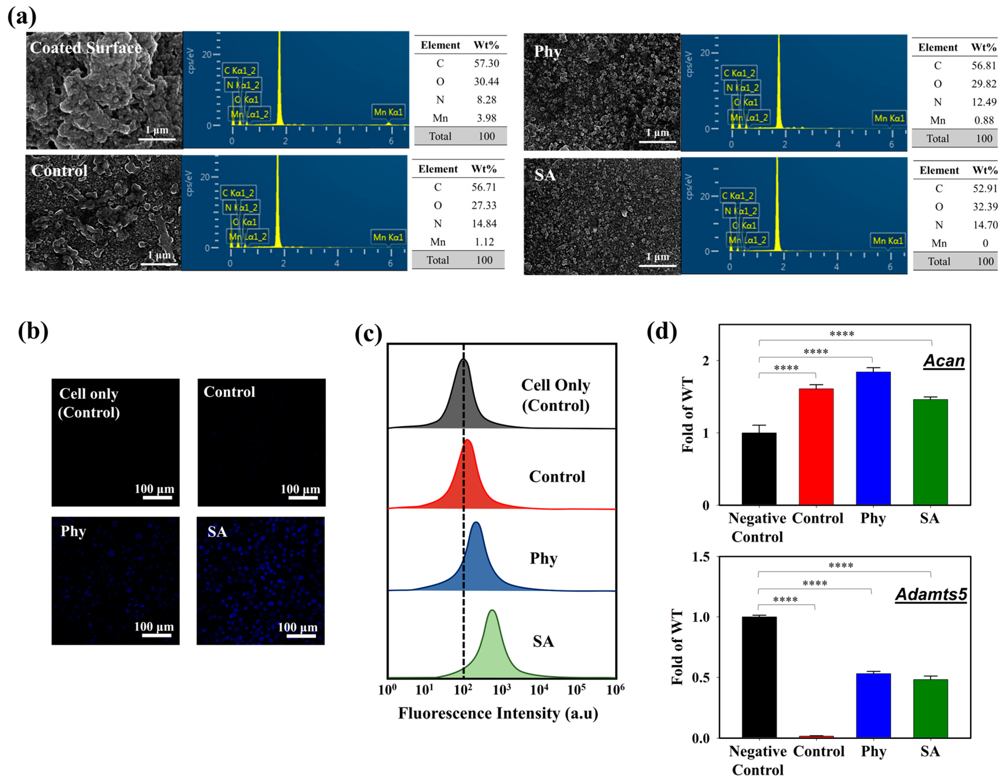 Biosensors 14 00357 g005