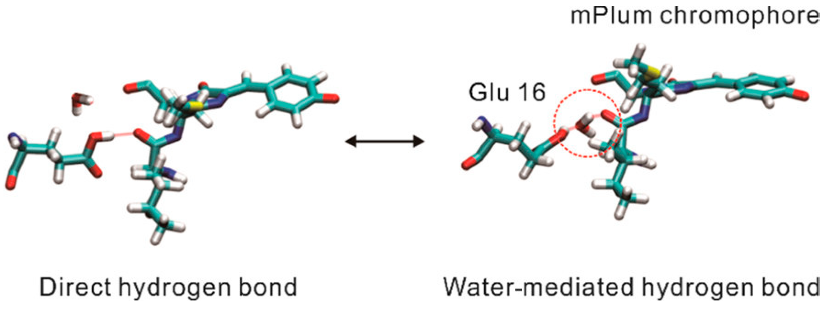 Biosensors 14 00359 g002 Biosensors 14 00359 g002