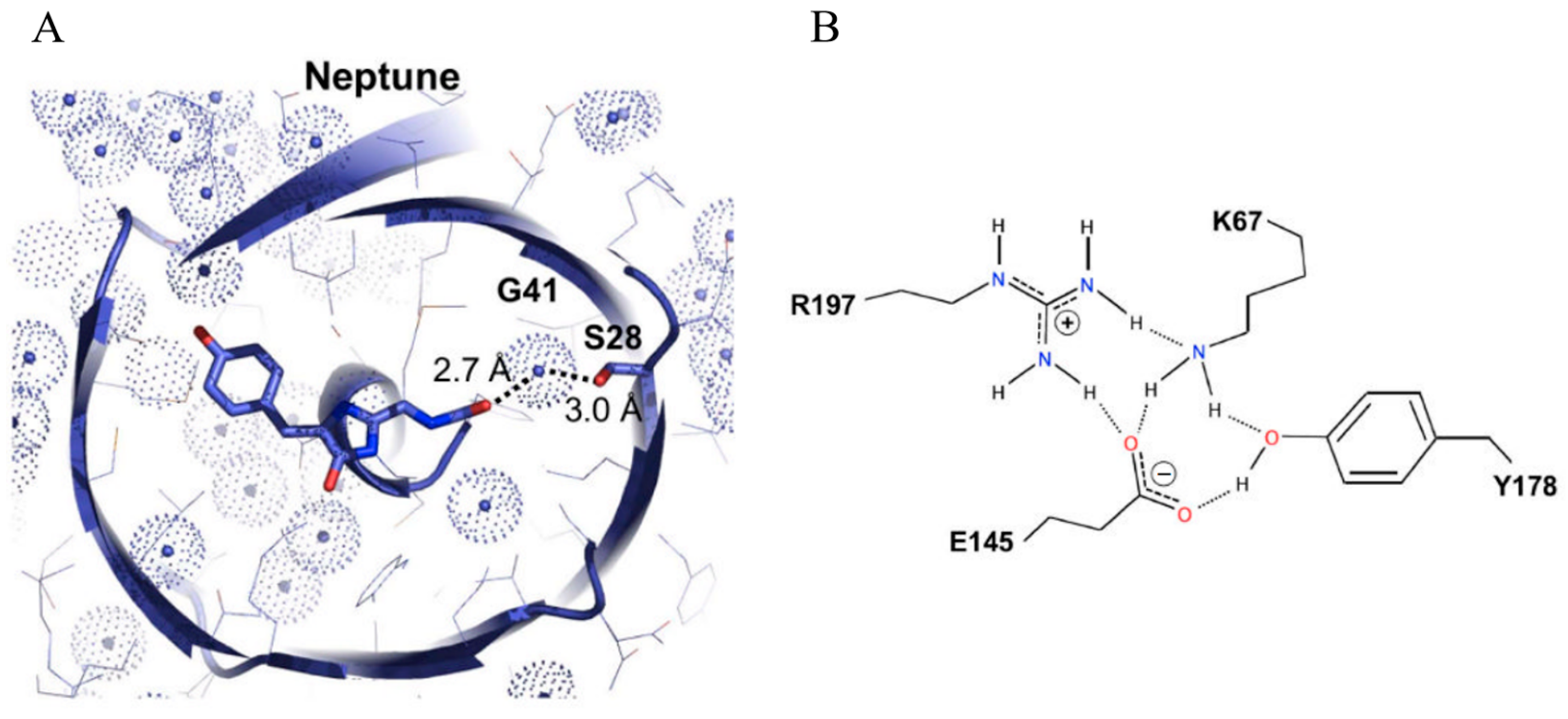 Biosensors 14 00359 g006 Biosensors 14 00359 g006
