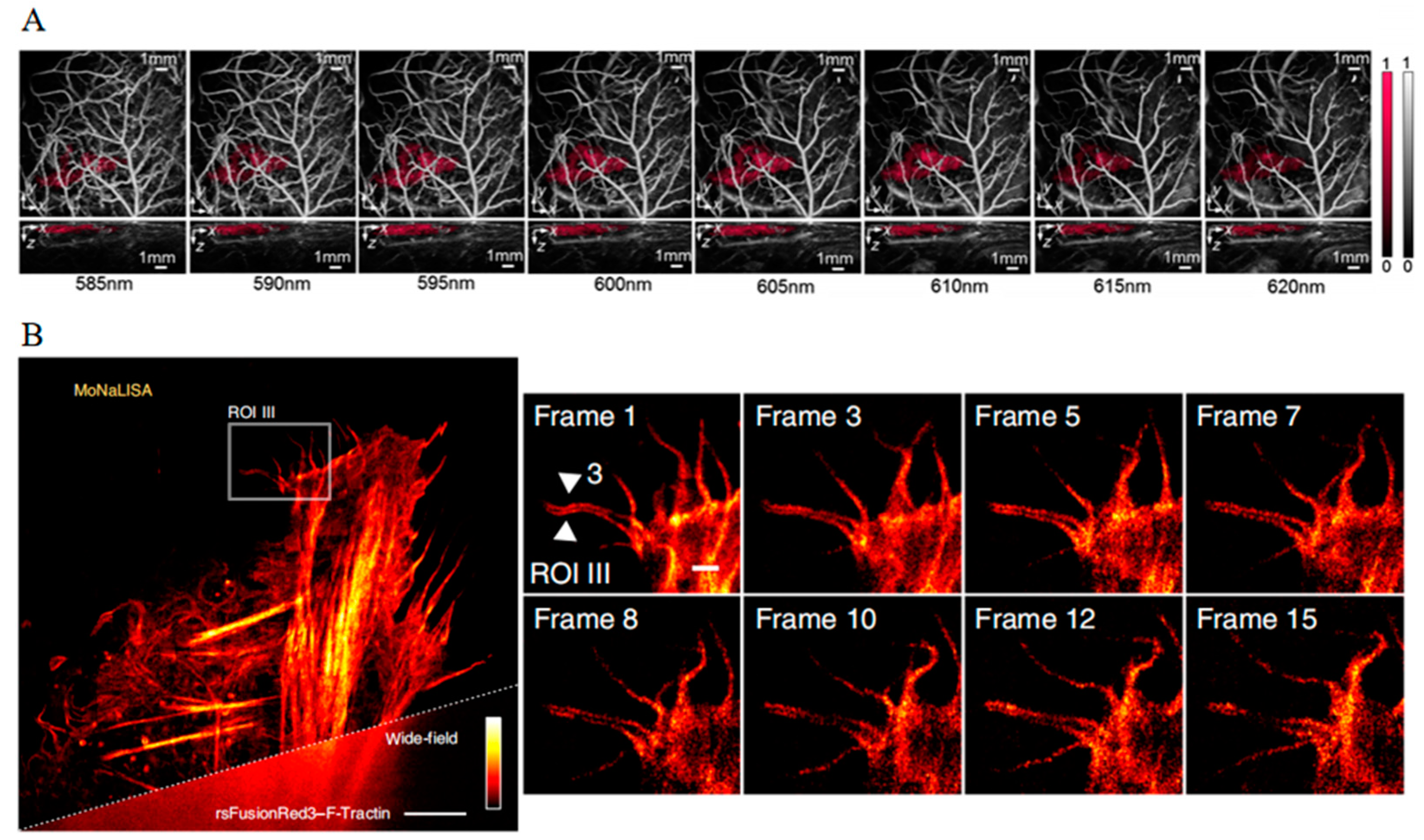 Biosensors 14 00359 g013 Biosensors 14 00359 g013