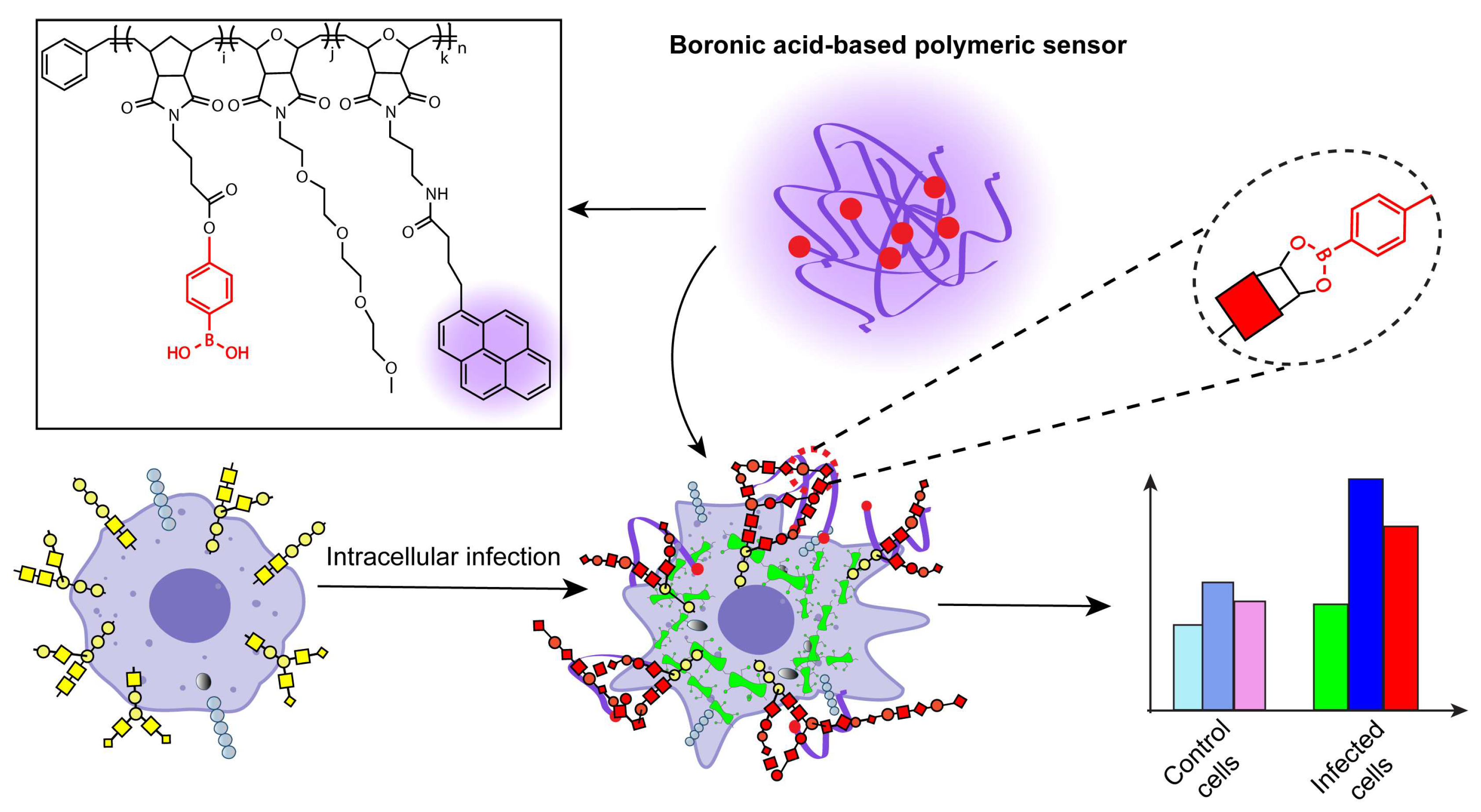 Biosensors 14 00360 g001
