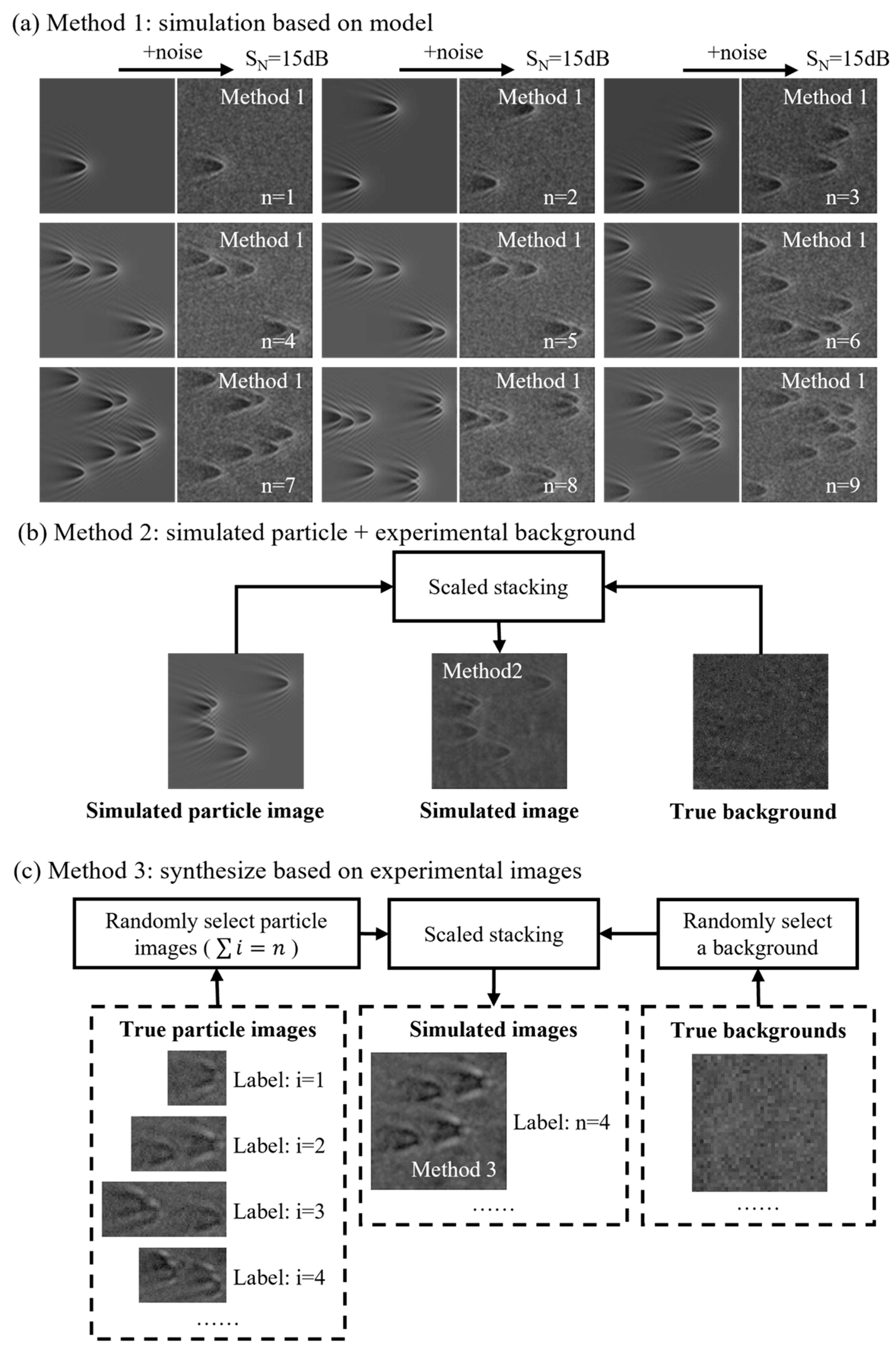 Biosensors 14 00363 g006