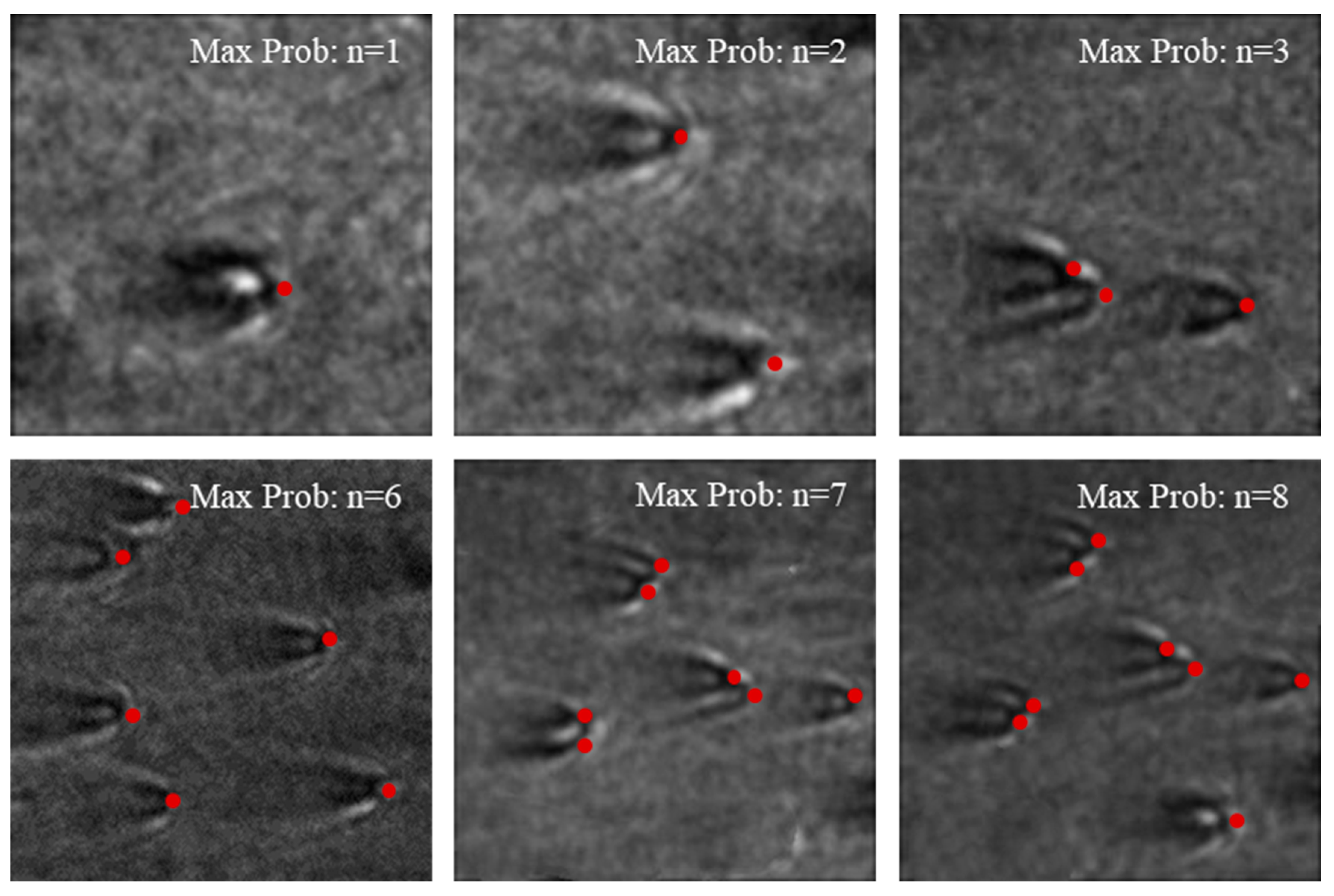 Biosensors 14 00363 g008