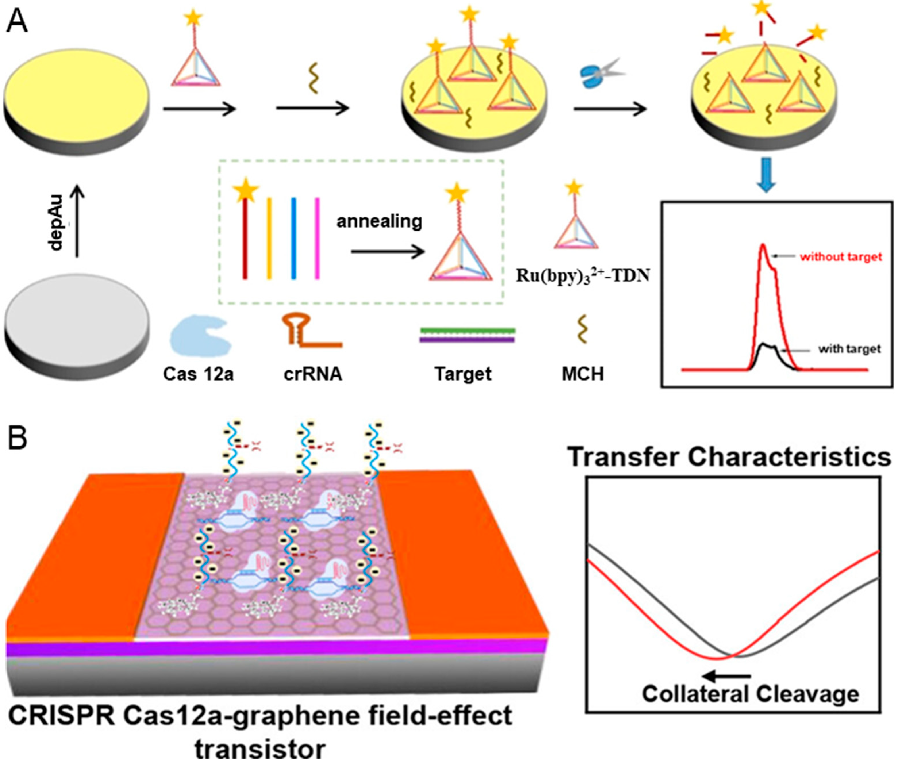 Biosensors 14 00367 g002