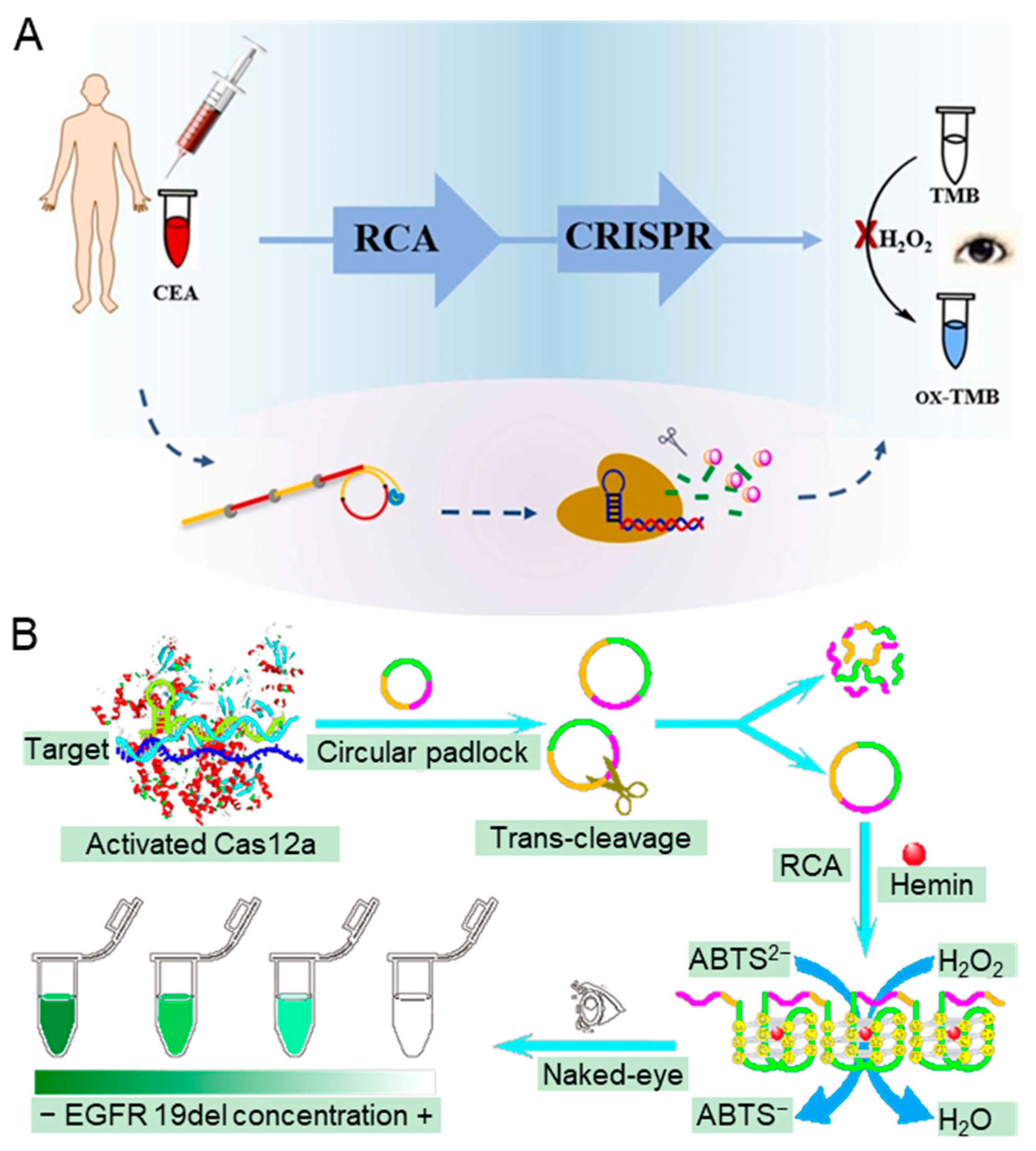 Biosensors 14 00367 g008