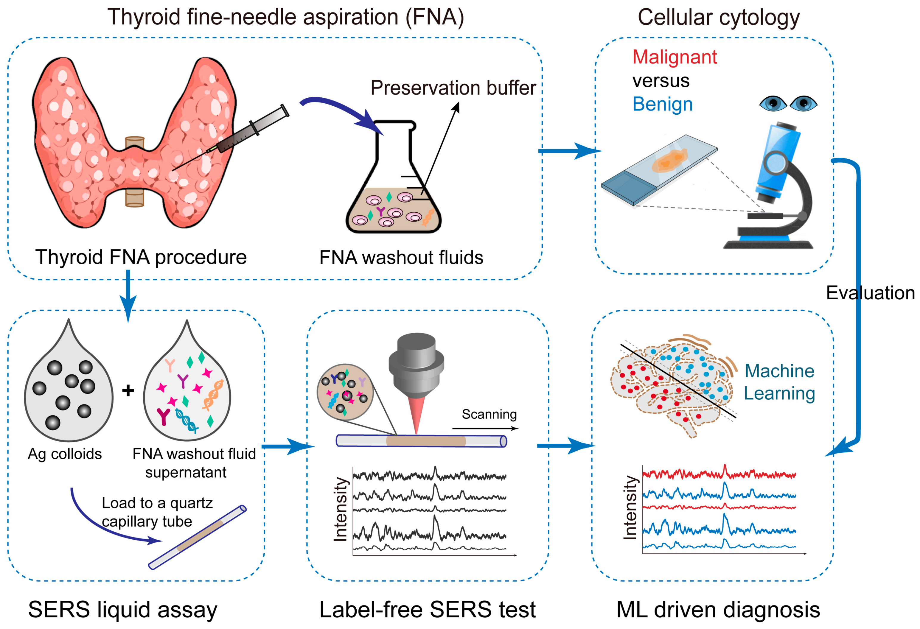 Biosensors 14 00372 g001