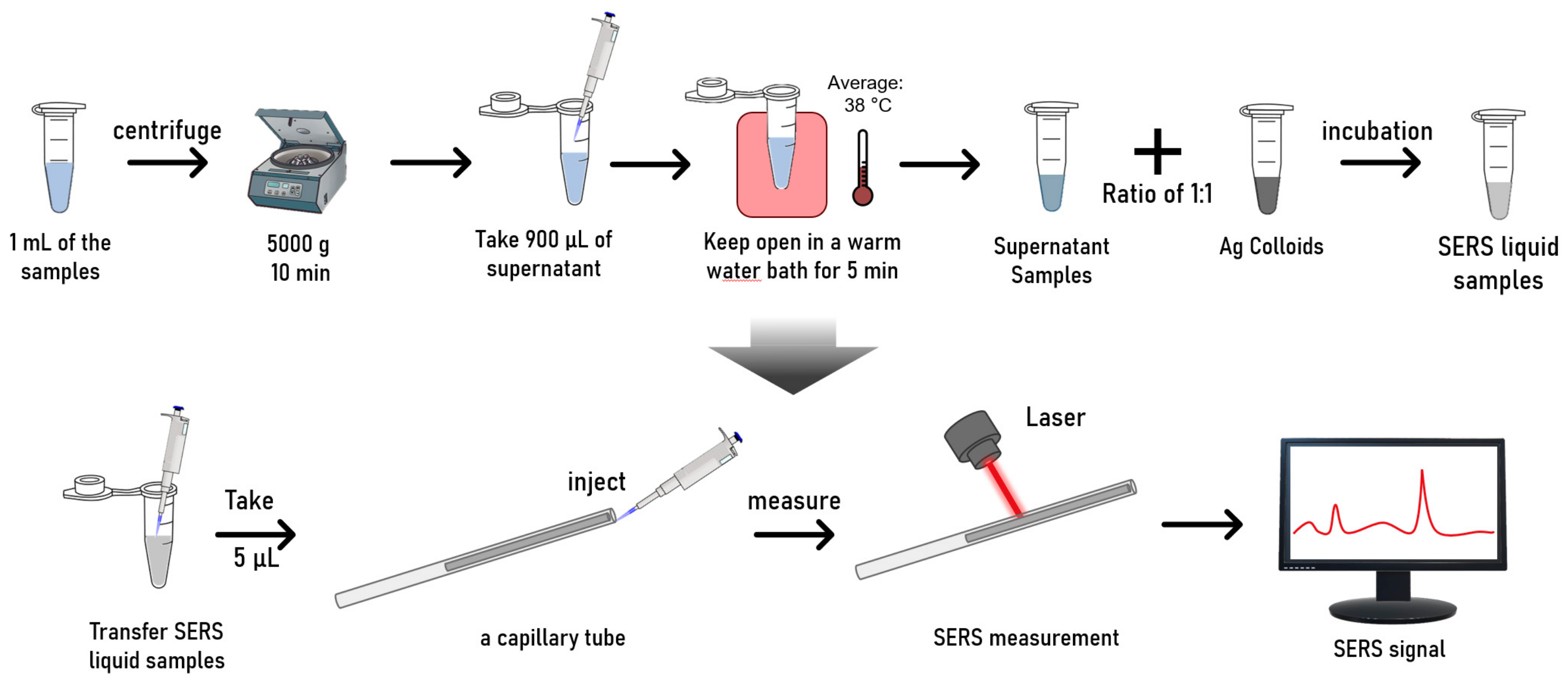 Biosensors 14 00372 g002