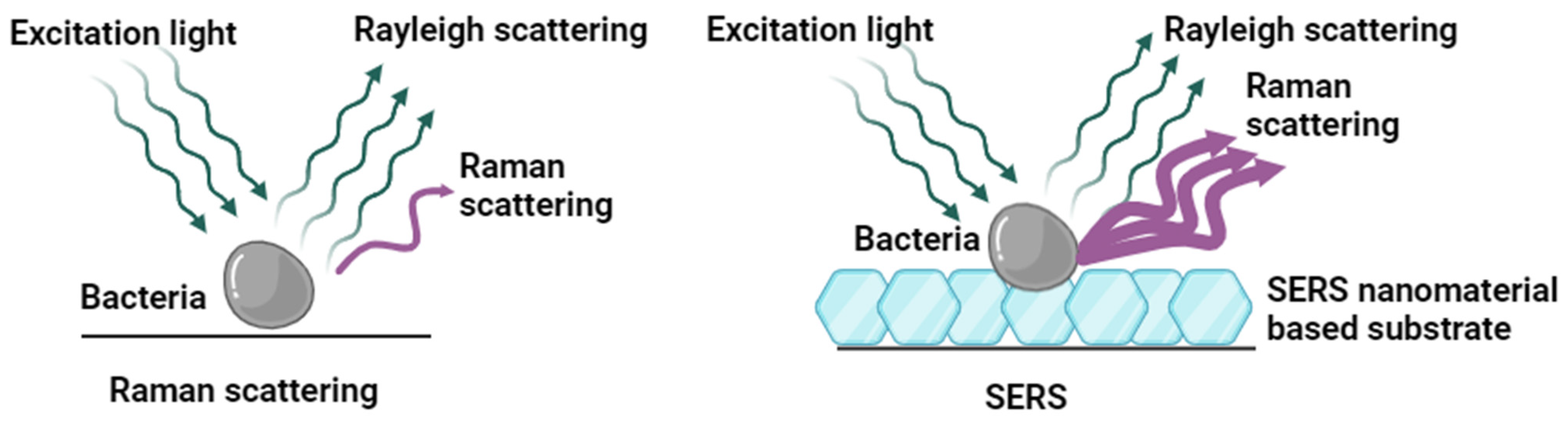 Biosensors 14 00375 g001