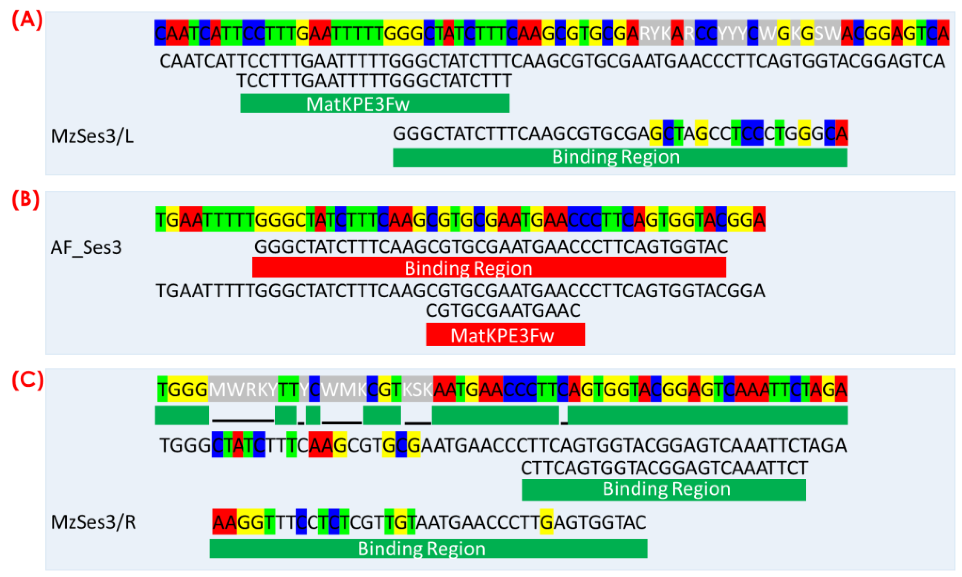 Biosensors 14 00377 g001
