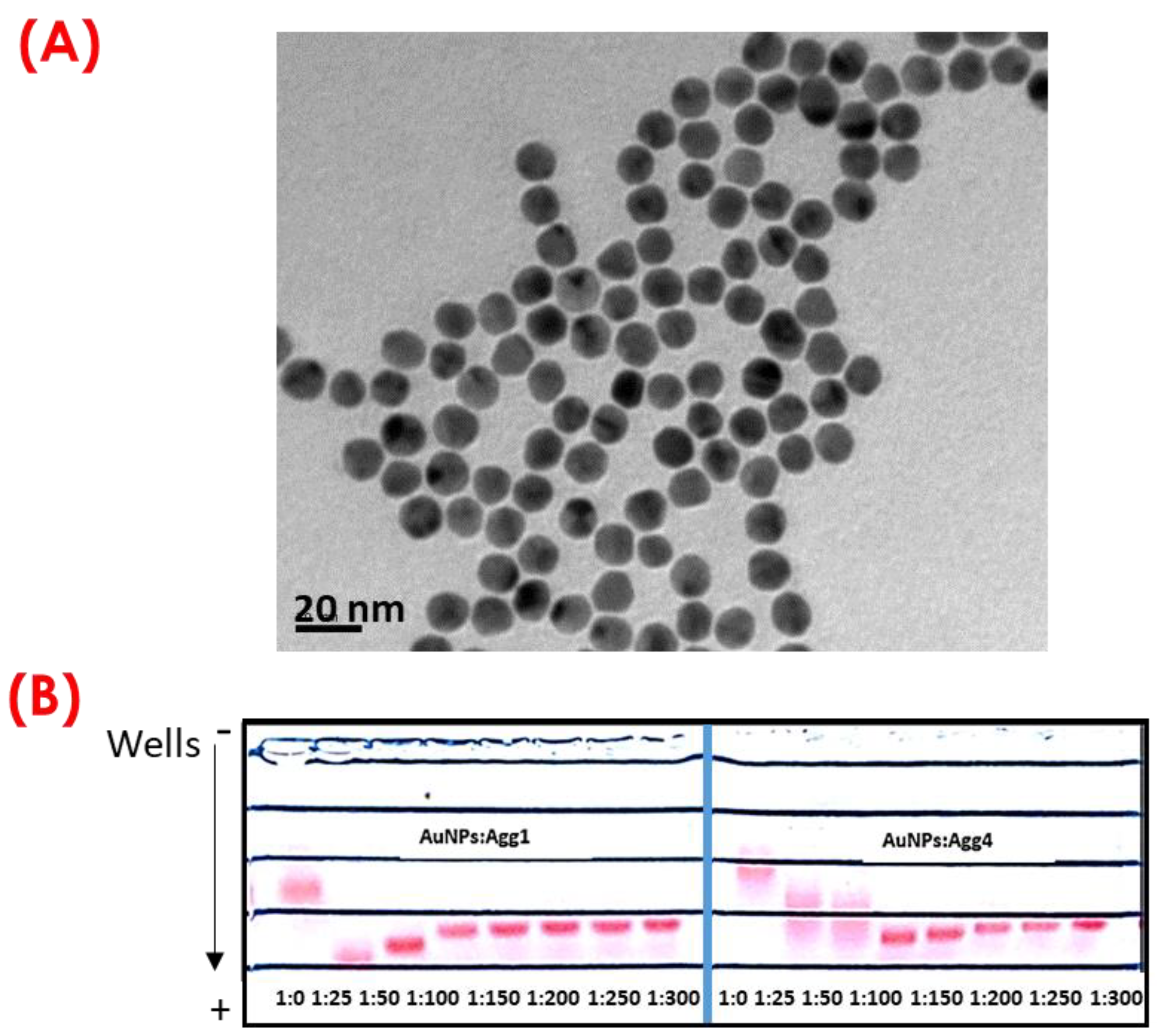 Biosensors 14 00377 g002
