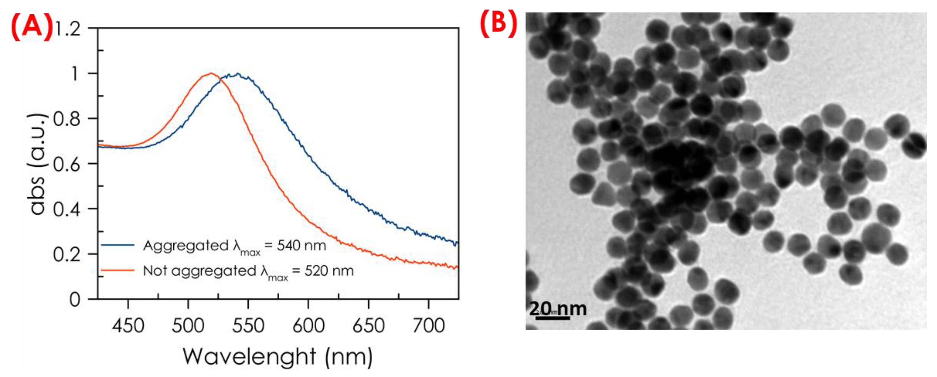 Biosensors 14 00377 g004